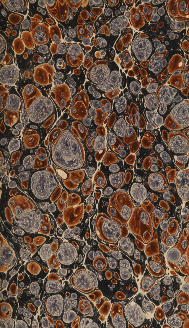 digitised image 3