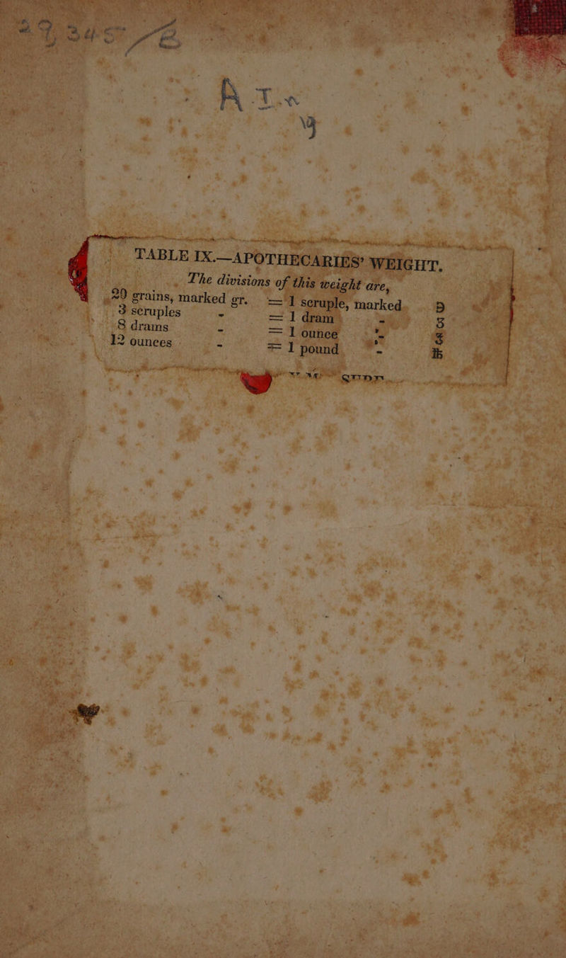 eWeuwsr 2, ) at oy TABLE IX.—APOTHECARIBS’ WEIGHT. 4 The divisions of this weight are, % #0 grains, marked gt. ='I seruple, marked d 3 scruples - = 1 dram ~ 5 8 drams fe = 1 ounce - 4 12 ounces ~ = 1 pound — ib jee ae Qapw ; w )