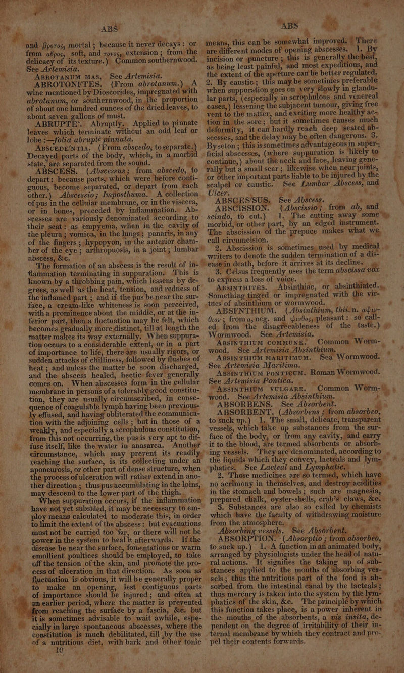 iS. pum, Oy ae tee ABS or from abpos, soft, and rovos», extension ; from: the delicacy of its texture.) Common southernwood. See Artemisia. Cae ze ABROTANUM MAS, ABROTONI’TES. : See Artemisia. . (From abrotanum.) A wine mentioned by Dioscorides, impregnated with abrotanum, or southernwood, in {he proportion of about one hundred ounces of the dried leaves, about seven gallons of must. LA ABRUPTE... to Abruptly.. Applied to pinnate Jeaves. which terminate without an odd leaf or lobe :—folia abruplé pinnata. he. Asscepe’NTIA. (From abscedo, toseparate-) Decayed parts of the body, which, in a,morbid state, are separated from the sound. he ABSCESS. (Abscessus; from _abscedo, to depart: because parts, which were before conti- guous, become separated, or depart from each tah of pus in the cellular membrane, or in the viscera, or in bones, preceded by inflammation. Ab- stesses are variously denominated according to their seat: as empyema, when in the cavity of the elearh, - vomica, in the lungs; panaris, in any abscess, &amp;c. The flammation terminating in suppuration. This is known by a throbbing pain, which lessens by de- srees, as well as the heat, tension, and redness of the inflamed part ; and if the pus be near the sur- face, a cream-like whiteness is soon perceived, with a prominence about the middle, or at the in- ferior part, then.a fluctuation may be felt, which becomes gradually more distinct, till at length the matter makes its way externally. When suppura- tion occurs to a considerable extent;.or in a part of importance to life, there are usually rigors, or sudden attacks of chilliness, followed by flushes of heat ; and unless the matter be soon discharged, and the abscess healed, hectic: fever generally comes on. When abscesses form in the cellular membrane in persons of a tolerably good constitu-. tion, they are usually circumscribed, in conse- quence of coagulable lymph ee” been previous- the communica- tion with the adjoining cells ; but in those of a Another circumstance, which may preyent its readily, reaching the surface, is its collecting under an aponeurosis, or other part of dense structure, when the process of ulceration will rather extend in ano- ther direction ; thus pus accumulating in the loins, may descend to the lower part of the thigh. © hen suppuration occurs, if the inflammation: have not yet subsided, it may be necessary to em- ploy means calculated to moderate this, in order to limit the extent of the abscess: but evacuations must not be carried too far, or there will not be power in the system to heal it afterwards. If the disease be near the surface, fomentations or warm emollient poultices should be employed, to take off the tension of the skin, and promote the pro- cess of ulceration in that direction. _ N As soon as lest contiguous parts: injured ; and often at an earlier period, where the matter is prevented rom reaching the surface by a fascia, &amp;e. but tis sometimes advisable to wait awhile, espe- where ‘the to make an opening, be of a ari lg diet, with bark and. other tonic Ai hy Cet Au x atk: a aa a a. eats: re, , means, this can’be somewhat improv: i, | There - are different modes of opening abscesses. 1. ey incision or puncture ; this is generally the/best, as being least painful, and most expeditious, and. the extent of the aperture can be better regulated. 2. By eaustic ; when suppuration aes on very slowly in glandu- lar parts, (especial y in scrophulous and venereal vent to the matter, and exciting more healthy ac-, ‘tion in the sore; but it sometimes Causes much ‘seated ab- deformity, it can hardly reach deep scesses, and the delay may be.often dangerous. 3. (where suppuration. is ‘likely to continue, ) about the neck and face, Jeaving gene- or Other important parts liable to be injured by the scalpel or caustic. See Lumbar Abscess, and Ulcer. ‘ Pa ee Ps aes ABSCES’SUS, See Abscess. ABSCISSION.. (<Abscissio ; scindo, to cut.) morbid, or other part, by an edged imstrument. The abscission of the prepuce makes what we. call circumcision. . writers to denote the sudden termination of a dis- before it arrives at its decline. 3. Celsus frequently uses the term abscissa vor to express a loss of voice. ABSINTHITES. , Something tinged or impregnated with the vir- .tues of absinthium or wormwood. + ” ABSYNTHIUM. (Absinthium, thit-n. a Oiov; froma,neg. and wv0os, pleasant : so. ed. from Wormwood. SeeArtemisia. ABSINTHIUM COMMUNE. wood, See Artemisia Absinthium. ABSINTHIUM MARITIMUM. Sea Wormwood. See Artemisia Marittima. _ aE a ; ABSINTHIUM PonTICUM. Roman Wormwood. See Artemisia Pontica, . “ABSINTHIUM VULGARE. wood. See Artemisia Absinthium. > ° “ ABSORBENS. See Absorbent. ABSORBENT, (Absorbens ; 1 to suck up.) 1. The small, delicate, transparent vessels, which take up substances from the sur- face of the body, or from any cavity, and ¢ it to the blood, are termed absorbents or absorb- ing vessels. ‘They are denominated, according to i? 2. Those medicines are’so termed, no acrimony in themselves, and destroy aciditie in the stomach and bowels; such are magnesia, prepared chalk, oyster-shells, crab’s claws, &amp;c.. 3. Substances are also so called by chemists which “hav: the faculty of withdrawing moisture from the atmosphere, 4 2 4. Absorbing vessels. See Absorbent. eT sae ABSORPTION. * ( Absorptio ; from absorbeo, arranged by physiologists under the head of natu-: ral actions. It sionties the takin D stances applied to the mouths of absorbing ves-. sels; thus the nutritious part of the food is ab- sorbed from the intestin canal by the lacteals ; thus mer ary is taken into the system by the lym- -phaties of the skin, &amp;c. The prinoiplli which, this function takes place, is a power inherent in the mouths of the absorbents, a vis in pendent on the degree of irritability of their in- ternal membrane by which they contract and pro-, pel their contents forwards. = ei.