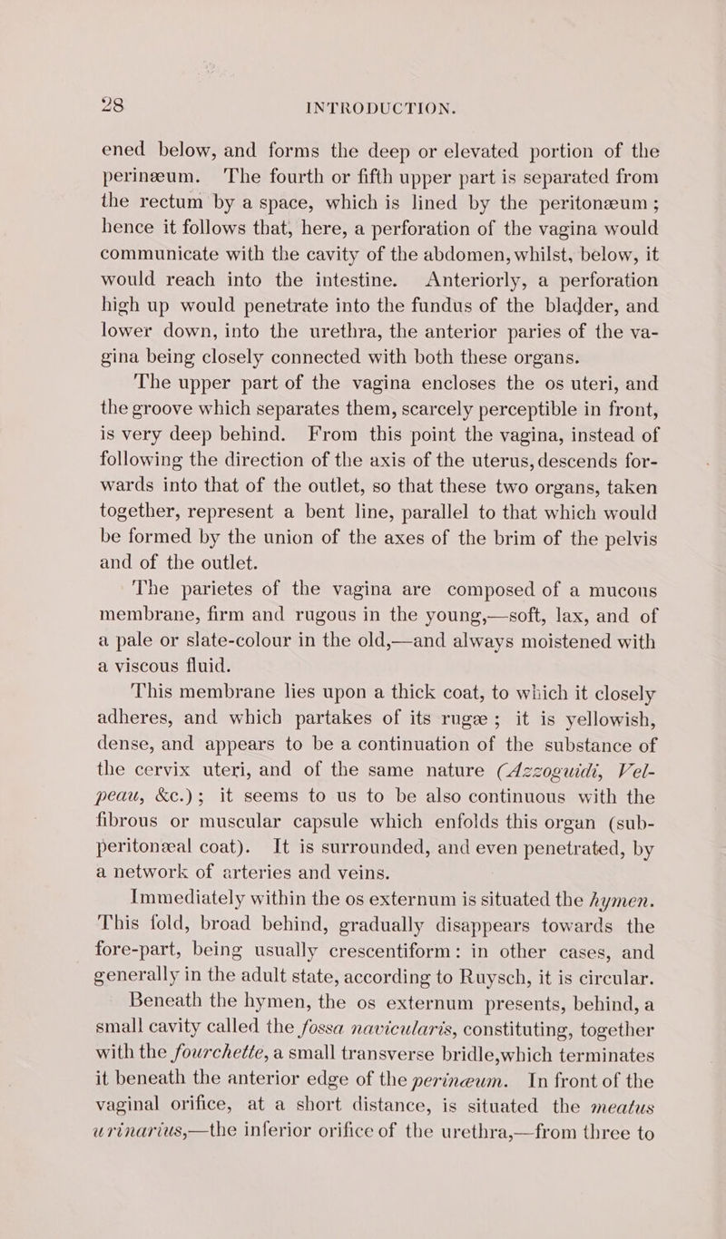 ened below, and forms the deep or elevated portion of the perinæum. The fourth or fifth upper part is separated from the rectum by a space, which is lined by the peritonæum ; hence it follows that, here, a perforation of the vagina would communicate with the cavity of the abdomen, whilst, below, it would reach into the intestine. Anteriorly, a perforation high up would penetrate into the fundus of the bladder, and lower down, into the urethra, the anterior paries of the va- gina being closely connected with both these organs. The upper part of the vagina encloses the os uteri, and the groove which separates them, scarcely perceptible in front, is very deep behind. From this point the vagina, instead of following the direction of the axis of the uterus, descends for- wards into that of the outlet, so that these two organs, taken together, represent a bent line, parallel to that which would be formed by the union of the axes of the brim of the pelvis and of the outlet. The parietes of the vagina are composed of a mucous membrane, firm and rugous in the young,—soft, lax, and of a pale or slate-colour in the old,—and always moistened with a viscous fluid. This membrane lies upon a thick coat, to which it closely adheres, and which partakes of its rugæ ; it is yellowish, dense, and appears to be a continuation of the substance of the cervix uteri, and of the same nature (4zzoguidi, Vel- peau, &amp;c.); it seems to us to be also continuous with the fibrous or muscular capsule which enfolds this organ (sub- peritonæal coat). It is surrounded, and even penetrated, by a network of arteries and veins. Immediately within the os externum is situated the hymen. This fold, broad behind, gradually disappears towards the fore-part, being usually crescentiform: in other cases, and generally in the adult state, according to Ruysch, it is circular. _ Beneath the hymen, the os externum presents, behind, a small cavity called the fossa navicularis, constituting, together with the fourchette, a small transverse bridle,which terminates it beneath the anterior edge of the perineum. In front of the vaginal orifice, at a short distance, is situated the meatus urinarius,—the inferior orifice of the urethra,—from three to