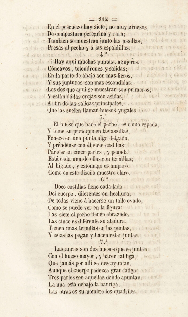 En el pescuezo hay siete, no muy gruesos, De compostura peregrina y rara,; También se muestran junto las assillas, Presas al pecho y á las espaldillas. ■ ' ■■ ■'' , . 4.a Hay aquí muchas puntas, agujeros, Cóncavos , tolondrones y salidas; En la parte de abajo son mas fieros, Y sus junturas son mas escondidas: Los dos que aqui se muestran son primeros, Y están do las orejas son asidas, Al fin de las salidas principales, Que las suelen llamar huesos yugales. m a O • . . ■ El hueso que hace el pecho, es como espada, Y tiene su principio en las assillas, Fenece en una punta algo delgada, Y préndense con él siete costillas: Pártese en cinco partes , y pegada Está cada una de ellas con ternillas; Al hígado, y estómago es amparo, Como en este diseño muestro claro. 6.a Doce costillas tiene cada lado Del cuerpo, diferentes en hechura; De todas viene á hacerse un talle ovado, Como se puede ver en la figura: Las siete el pecho tienen abrazado, Las cinco es diferente su atadura, Tienen unas ternillas en las puntas, Y estas las pegan y hacen estar juntas 7.a Las ancas son dos huesos que se juntan Con el hueso mayor, y hacen tal liga, Que jamás por allí se descoyuntan, Aunque el cuerpo padezca gran fatiga: Tres partes son aquellas donde apuntan, La una está debajo la barriga, Las otras es su nombre los quadriles,