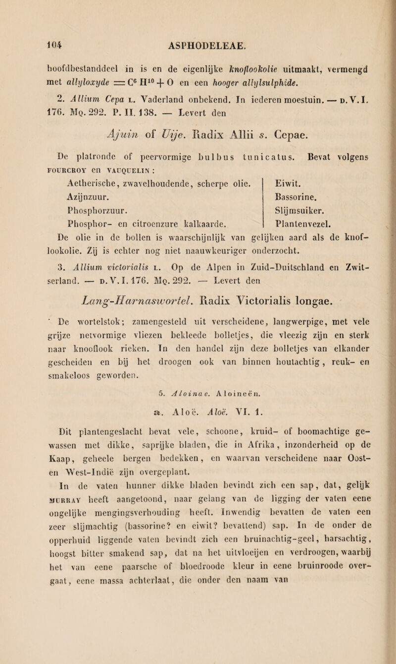 hoofdbestanddeel in is en de eigenlijke hnoflooholie uitmaakt, vermengd met allyloxyde =: C6 H10 -f O en een hooger allylsulphide. 2. Allium Cepa l. Vaderland onbekend. In iederen moestuin. —- d.V.I. 176. Mq. 292. P. II. 138. — Levert den Ajuin of Uije. Piadix Allii 5. Cepae. Eiwit. Bassorine. Slijmsuiker. Plantenvezel. De platronde of peervormige bulbus tunicatus. Bevat volgens FOURCROY en vaüqüelin : Aetherische, zwavelhoudende, scherpe olie. Azijnzuur. Phosphorzuur. Phosphor- en citroenzure kalkaarde. De olie in de bollen is waarschijnlijk van gelijken aard als de knof- lookolie. Zij is echter nog niet naauwkeuriger onderzocht. 3. Allium victoriolis l. Op de Alpen in Zuid-Duitschland en Zwit¬ serland. —- d.V. 1.176. Mq. 292. —• Levert den Lang-IIar nas wortel. Radix Yictorialis longae. * De wortelstok; zamengesteld uit verscheidene, langwerpige, met vele grijze netvormige vliezen bekleede bolletjes, die vleezig zijn en sterk naar knoofiook rieken. Tn den handel zijn deze bolletjes van elkander gescheiden en bij het droogen ook van binnen houtachtig, reuk- en smakeloos geworden. 5. Aloinae. Aloineën. a. Aloë. Aloë. VI. 1. Dit plantengeslacht bevat vele, schoone, kruid- of boomachtige ge¬ wassen met dikke, saprijke bladen, die in Afrika, inzonderheid op de Kaap, gehecle bergen bedekken, en waarvan verscheidene naar Oost¬ en West-Indié zijn overgeplant. In de vaten hunner dikke bladen bevindt zich een sap, dat, gelijk Murray beeft aangetoond, naar gelang van de ligging der vaten eene ongelijke mengingsverhouding heeft. Inwendig bevatten de vaten een zeer slijmachtig (bassorine? en eiwit? bevattend) sap. In de onder de opperhuid liggende vaten bevindt zich een bruinachtig-geel, harsachtig, hoogst bitter smakend sap, dat na bet uilvloeijen en verdroogen, waarbij het van eene paarsche of bloedroode kleur in eene bruinroode over¬ gaat, eene massa achterlaat, die onder den naam van