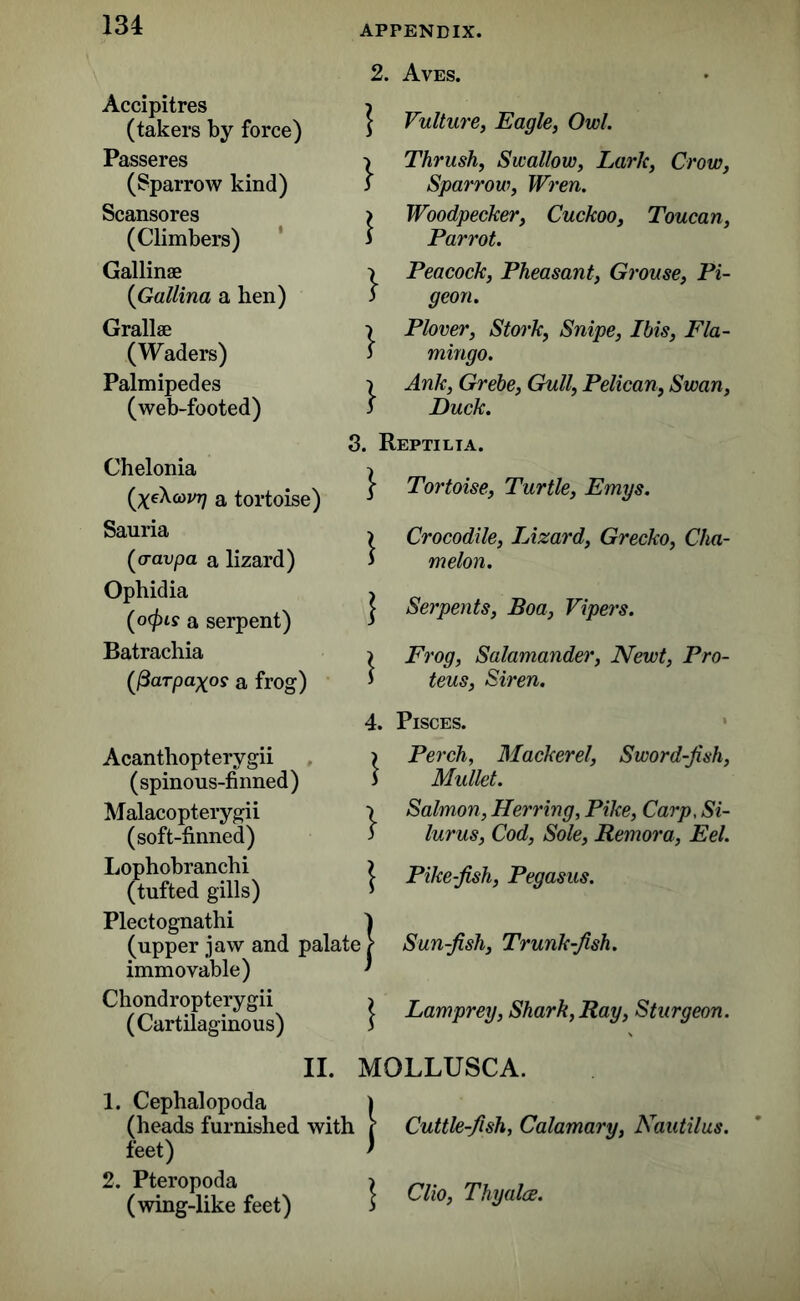 Accipitres (takers by force) Passeres (Sparrow kind) Scansores (Climbers) Gallinae (Gallina a hen) Grallae (Waders) Palmipedes (web-footed) Chelonia (xeXoj/j; a tortoise) Sauria (o-aupa a lizard) Ophidia (ocfus a serpent) Batrachia (fiarpaxos a frog) 2. Aves. | Vulture, Eagle, Owl. \ Thrush, Swallow, Lark, Crow, 3 Sparrow, Wren. > Woodpecker, Cuckoo, Toucan, 3 Parrot. \ Peacock, Pheasant, Grouse, Pi- 3 geon. ■> Plover, Stork, Snipe, Ibis, Fla- 3 mingo. l Ank, Grebe, Gull, Pelican, Swan, 3 Duck. 8. Reptilia. } Tortoise, Turtle, Emys. ) Crocodile, Lizard, Grecko, Cha- 1 melon. | Serpents, Boa, Vipers. ) Frog, Salamander, Newt, Pro- 3 teus, Siren. 4. Pisces. Acanthopterygii (spinous-finned) Malacopterygii (soft-finned) Lophobranchi (tufted gills) Plectognathi (upper jaw and palate immovable) Chondropterygii (Cartilaginous) Perch, Mackerel, Sword-fish, Mullet. Salmon, Herring, Pike, Carp, Si- lurus, Cod, Sole, Remora, Eel. Pike fish, Pegasus. Sun fish, Trunk fish. Lamprey, Shark, Ray, Sturgeon. II. MOLLUSCA. 1. Cephalopoda (heads furnished with feet) 2. Pteropoda (wing-like feet) Cuttlefish, Calamary, Nautilus. Clio, Thyalce.