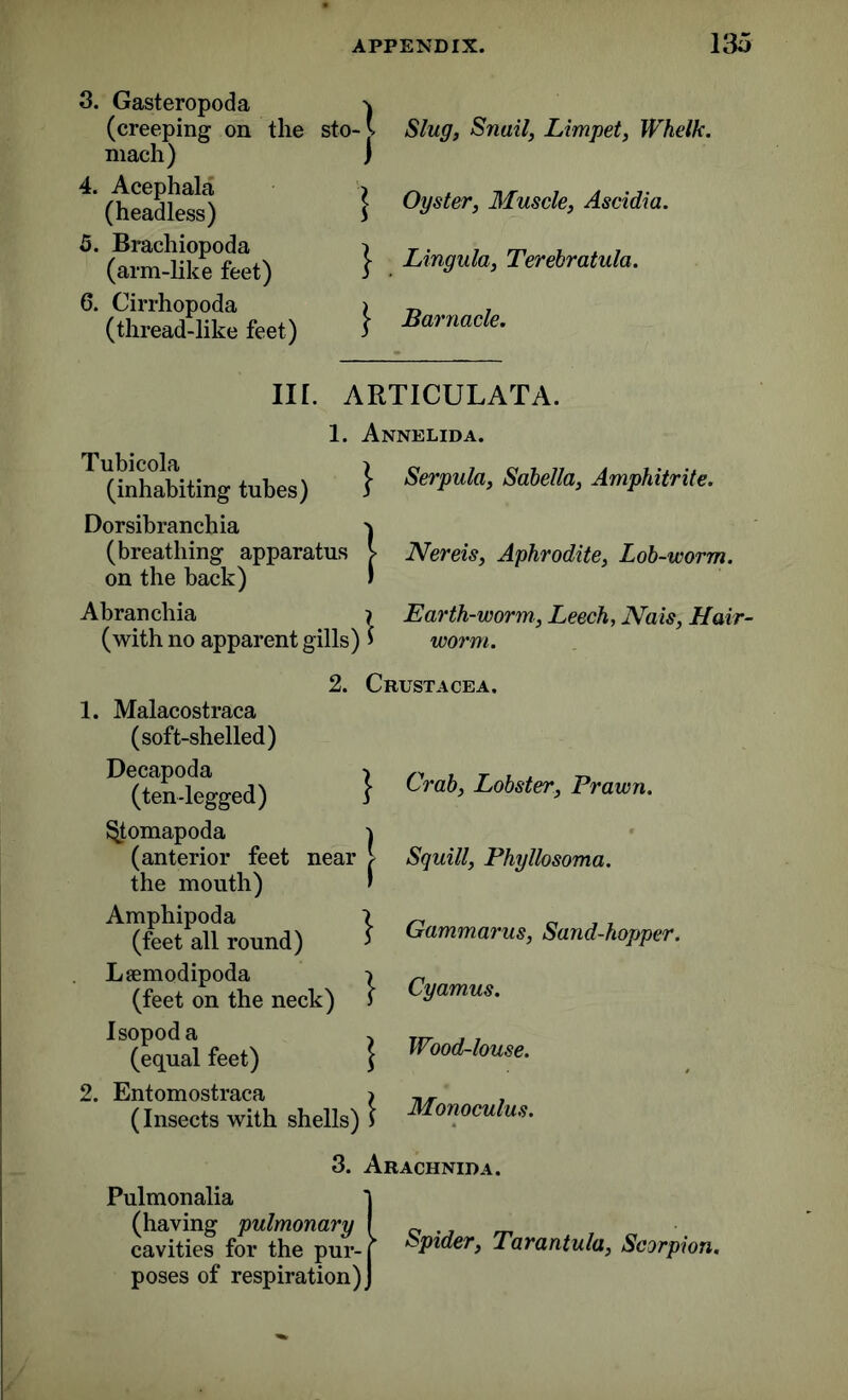 3. Gasteropoda \ (creeping on the sto-v. mach) j 4. Acephala > (headless) 5 5. Brachiopoda i (arm-like feet) 3 6. Cirrhopoda > (thread-like feet) 3 Slug, Snail, Limpet, Whelk. Oyster, Muscle, Ascidia. Lingula, Terebratula. Barnacle. Ilf. ARTICULATA. 1. Annelida. 1 (inhabiting tubes) } SerPula> Sahella> AmPhitri‘*- Dorsibranchia ^ (breathing apparatus V Nereis, Aphrodite, Lob-worm. on the back) » Abranchia ? Earth-worm., Leech, Nais, Hair- (with no apparent gills) $ worm. 2. Crustacea. 1. Malacostraca (soft-shelled) Decapoda (ten-legged) ^tomapoda (anterior feet near the mouth) Amphipoda (feet all round) Laemodipoda (feet on the neck) Isopoda (equal feet) 2. Entomostraca (Insects with shells) Crab, Lobster, Prawn. Squill, Phyllosoma. Gammarus, Sand-hopper. Cyamus. Wood-louse. Monoculus. 3. Arachnid a. Pulmonalia J (having pulmonary I c cavities for the pur- j ■pider, Tarantula, Scorpion. poses of respiration) J