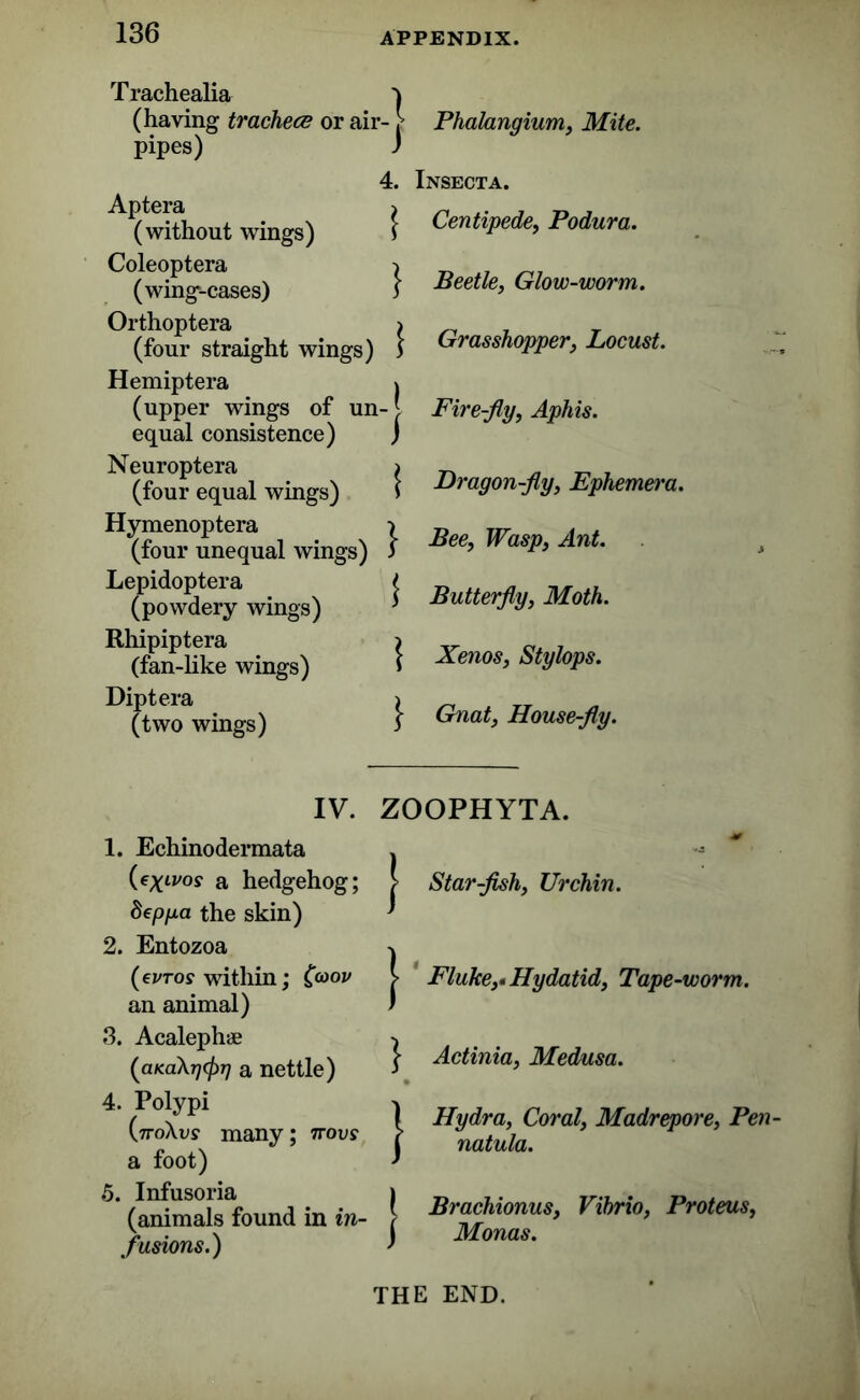 Trachealia (having trachece or air- pipes) 4. Aptera ^ (without wings) s Coleoptera ; (wing-cases) i Orthoptera (four straight wings) Hemiptera (upper wings of un-' equal consistence) J Neuroptera ( (four equal wings) 1 Hymenoptera > (four unequal wings) 3 Lepidoptera t (powdery wings) ^ Rhipiptera (fan-like wings) Dipt era (two wings) Phalangium, Mite. Insecta. Centipede, Podura. Beetle, Glow-worm. | Grasshopper, Locust. Fire-jly, Aphis. Dragon-fly, Ephemera. Bee, Wasp, Ant. Butterfly, Moth. Xenos, Stylops. Gnat, House-fly. IV. ZOOPHYTA. 1. Echinodermata (eyivos a hedgehog; 8eppa the skin) 2. Entozoa (ei'tos within; (g>°v an animal) 3. Acaleph* (aKa\r)<fir] a nettle) 4. Polypi (7roXvs many; 7roup a foot) 5. Infusoria (animals found in in- fusions.) Star-fish, Urchin. Fluke,* Hydatid, Tape-worm. Actinia, Medusa. Hydra, Coral, Madrepore, Pen- natula. Brachionus, Vibrio, Proteus, Monas. THE END.