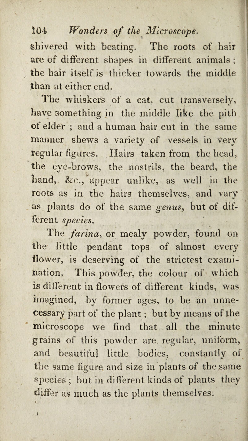 shivered with beating. The roots of hair are of different shapes in different animals ; the hair itself is thicker towards the middle than at either end. The whiskers of a cat, cut transversely, have something in the middle like the pith of elder ; and a human hair cut in the same manner shews a variety of vessels in very regular figures. Hairs taken from the head, the eye-brows, the nostrils, the beard, the hand, &c., appear unlike, as well in the roots as in the hairs themselves, and vary as plants do of the same genus, but of dif¬ ferent species. The farina, or mealy powder, found on the little pendant tops of almost every flower, is deserving of the strictest exami¬ nation. This powder, the colour of which is different in flowers of different kinds, was imagined, by former ages, to be an unne¬ cessary part of the plant; but by means of the microscope we find that all the minute grains of this powder are regular, uniform, and beautiful little bodies, constantly of the same figure and size in plants of the same species ; but in different kinds of plants they differ as much as the plants themselves.