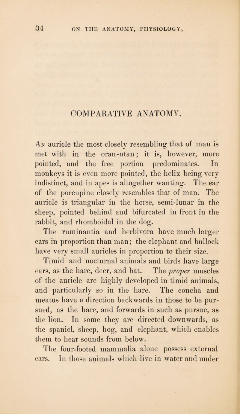 COMPARATIVE ANATOMY. An auricle the most closely resembling that of man is met with in the oran-utan; it is, however, more pointed, and the free portion predominates. In monkeys it is even more pointed, the helix being very indistinct, and in apes is altogether wanting. The ear of the porcupine closely resembles that of man. The auricle is triangular in the horse, semi-lunar in the sheep, pointed behind and bifurcated in front in the rabbit, and rhomboidal in the dog. The ruminantia and herbivora have much larger ears in proportion than man; the elephant and bullock have very small auricles in proportion to their size. Timid and nocturnal animals and birds have large ears, as the hare, deer, and bat. The proper muscles of the auricle are highly developed in timid animals, and particularly so in the hare. The concha and meatus have a direction backwards in those to be pur¬ sued, as the hare, and forwards in such as pursue, as the lion. In some they are directed downwards, as the spaniel, sheep, hog, and elephant, which enables them to hear sounds from below. The four-footed mammalia alone possess external ears. In those animals which live in water and under