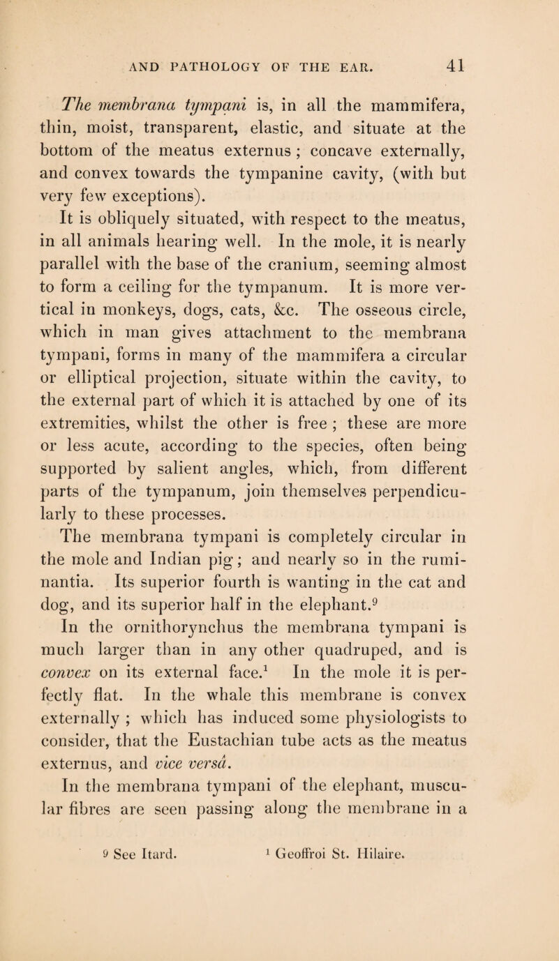 The membrana tympani is, in all the mammifera, thin, moist, transparent, elastic, and situate at the bottom of the meatus externus ; concave externally, and convex towards the tympanine cavity, (with but very few exceptions). It is obliquely situated, with respect to the meatus, in all animals hearing well. In the mole, it is nearly parallel with the base of the cranium, seeming almost to form a ceiling for the tympanum. It is more ver¬ tical in monkeys, dogs, cats, &c. The osseous circle, which in man gives attachment to the membrana tympani, forms in many of the mammifera a circular or elliptical projection, situate within the cavity, to the external part of which it is attached by one of its extremities, whilst the other is free ; these are more or less acute, according to the species, often being- supported by salient angles, which, from different parts of the tympanum, join themselves perpendicu¬ larly to these processes. The membrana tympani is completely circular in the mole and Indian pig; and nearly so in the rumi- nantia. Its superior fourth is wanting in the cat and dog, and its superior half in the elephant.9 In the ornithorynchus the membrana tympani is much larger than in any other quadruped, and is convex on its external face.1 In the mole it is per¬ fectly flat. In the whale this membrane is convex externally ; which has induced some physiologists to consider, that the Eustachian tube acts as the meatus externus, and vice versa. In the membrana tympani of the elephant, muscu¬ lar fibres are seen passing along the membrane in a