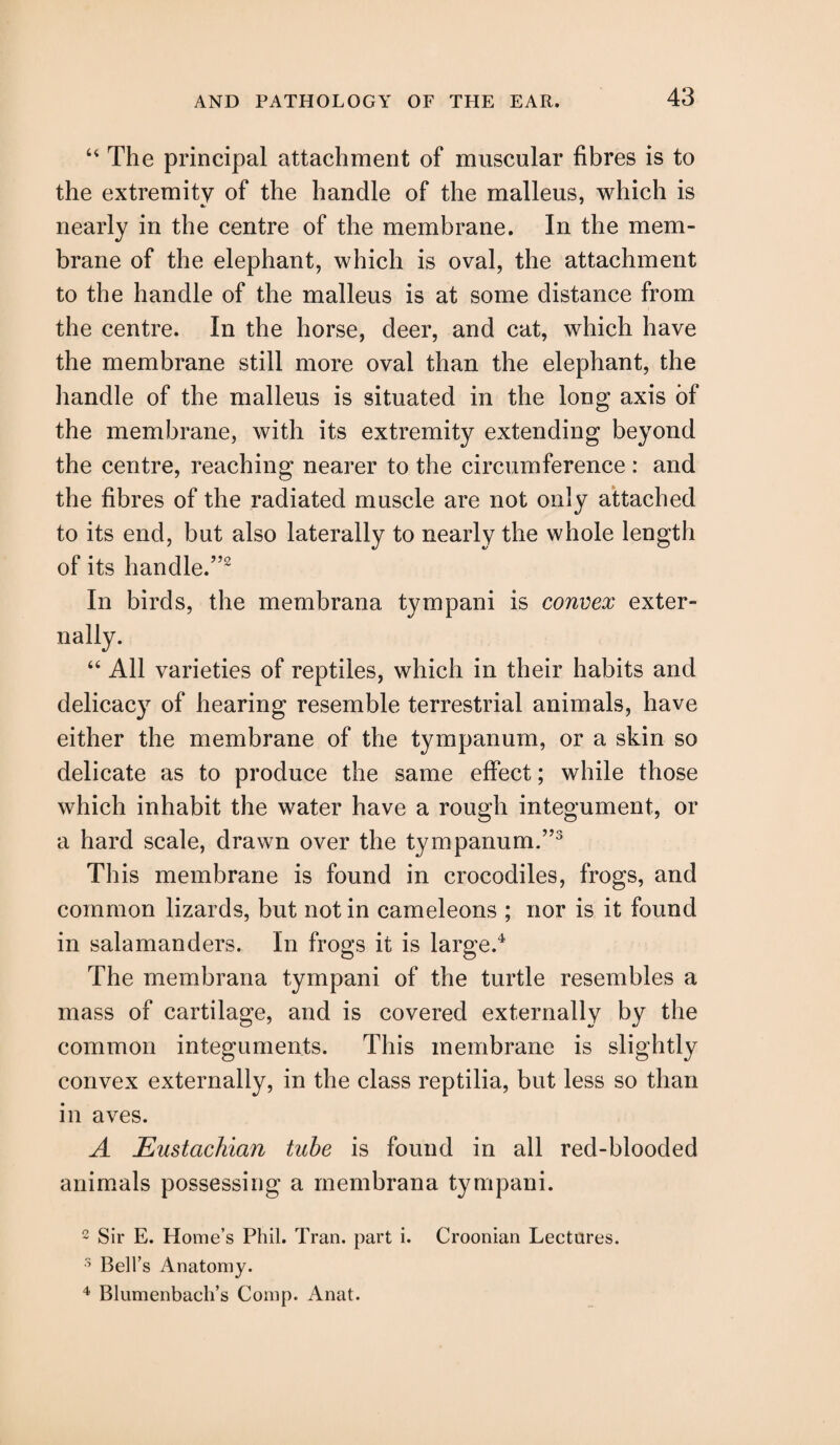 u The principal attachment of muscular fibres is to the extremity of the handle of the malleus, which is nearly in the centre of the membrane. In the mem¬ brane of the elephant, which is oval, the attachment to the handle of the malleus is at some distance from the centre. In the horse, deer, and cat, which have the membrane still more oval than the elephant, the handle of the malleus is situated in the long axis of the membrane, with its extremity extending beyond the centre, reaching nearer to the circumference : and the fibres of the radiated muscle are not only attached to its end, but also laterally to nearly the whole length of its handle.”2 In birds, the membrana tympani is convex exter¬ nally. “ All varieties of reptiles, which in their habits and delicacy of hearing resemble terrestrial animals, have either the membrane of the tympanum, or a skin so delicate as to produce the same effect; while those which inhabit the water have a rough integument, or a hard scale, drawn over the tympanum.”3 This membrane is found in crocodiles, frogs, and common lizards, but notin cameleons ; nor is it found in salamanders. In frogs it is large.4 The membrana tympani of the turtle resembles a mass of cartilage, and is covered externally by the common integuments. This membrane is slightly convex externally, in the class reptilia, but less so than in aves. A Eustachian tube is found in all red-blooded animals possessing a membrana tympani. 2 Sir E. Home’s Phil. Tran, part i. Croonian Lectures. 3 Bell’s Anatomy.