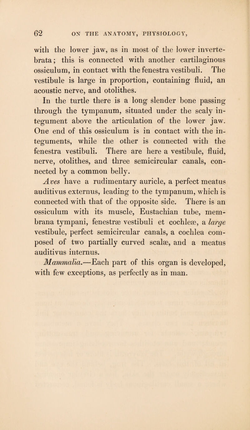 with the lower jaw, as in most of the lower inverte- brata; this is connected with another cartilaginous ossiculum, in contact with the fenestra vestibuli. The vestibule is large in proportion, containing fluid, an acoustic nerve, and otolithes. In the turtle there is a long slender bone passing through the tympanum, situated under the scaly in¬ tegument above the articulation of the lower jaw. One end of this ossiculum is in contact with the in- teguments, while the other is connected with the fenestra vestibuli. There are here a vestibule, fluid, nerve, otolithes, and three semicircular canals, con¬ nected by a common belly. Aves have a rudimentary auricle, a perfect meatus auditivus externus, leading to the tympanum, which is connected with that of the opposite side. There is an ossiculum with its muscle, Eustachian tube, rnem- brana tympani, fenestrae vestibuli et cochleae, a large vestibule, perfect semicircular canals, a cochlea com¬ posed of two partially curved scalae, and a meatus auditivus interims. Mammalia.—Each part of this organ is developed, with few exceptions, as perfectly as in man.