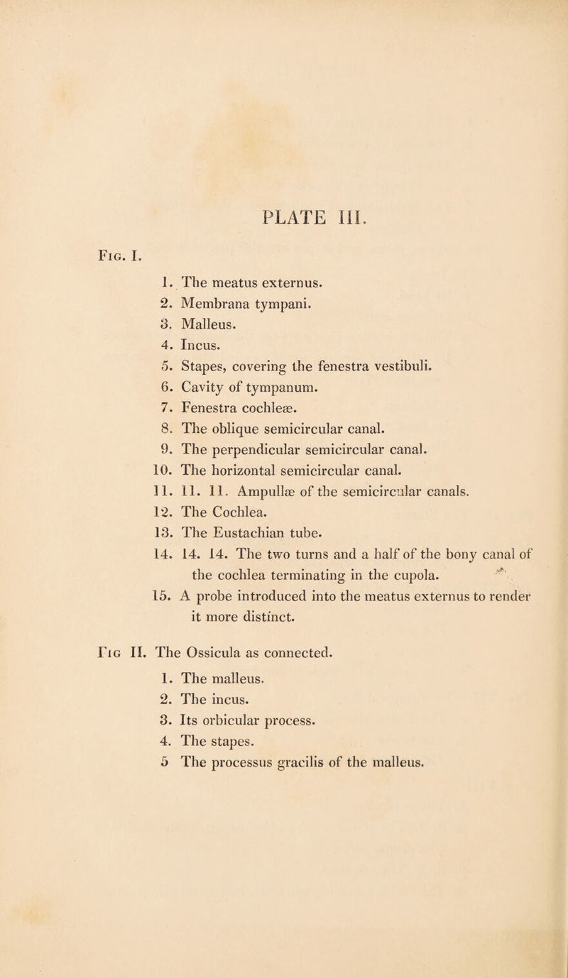 Fig. I. 1. The meatus externus. 2. Me mb ran a tympani. 3. Malleus. 4. Incus. 5. Stapes, covering the fenestra vestibuli. 6. Cavity of tympanum. 7. Fenestra cochleae. 8. The oblique semicircular canal. 9. The perpendicular semicircular canal. 10. The horizontal semicircular canal. 11. 11. 11. Ampullm of the semicircular canals. 12. The Cochlea. 13. The Eustachian tube. 14. 14. 14. The two turns and a half of the bony canal of the cochlea terminating in the cupola. 15. A probe introduced into the meatus externus to render it more distinct. Fig II. The Ossicula as connected. 1. The malleus. 2. The incus. 3. Its orbicular process. 4. The stapes. 5 The processus gracilis of the malleus.