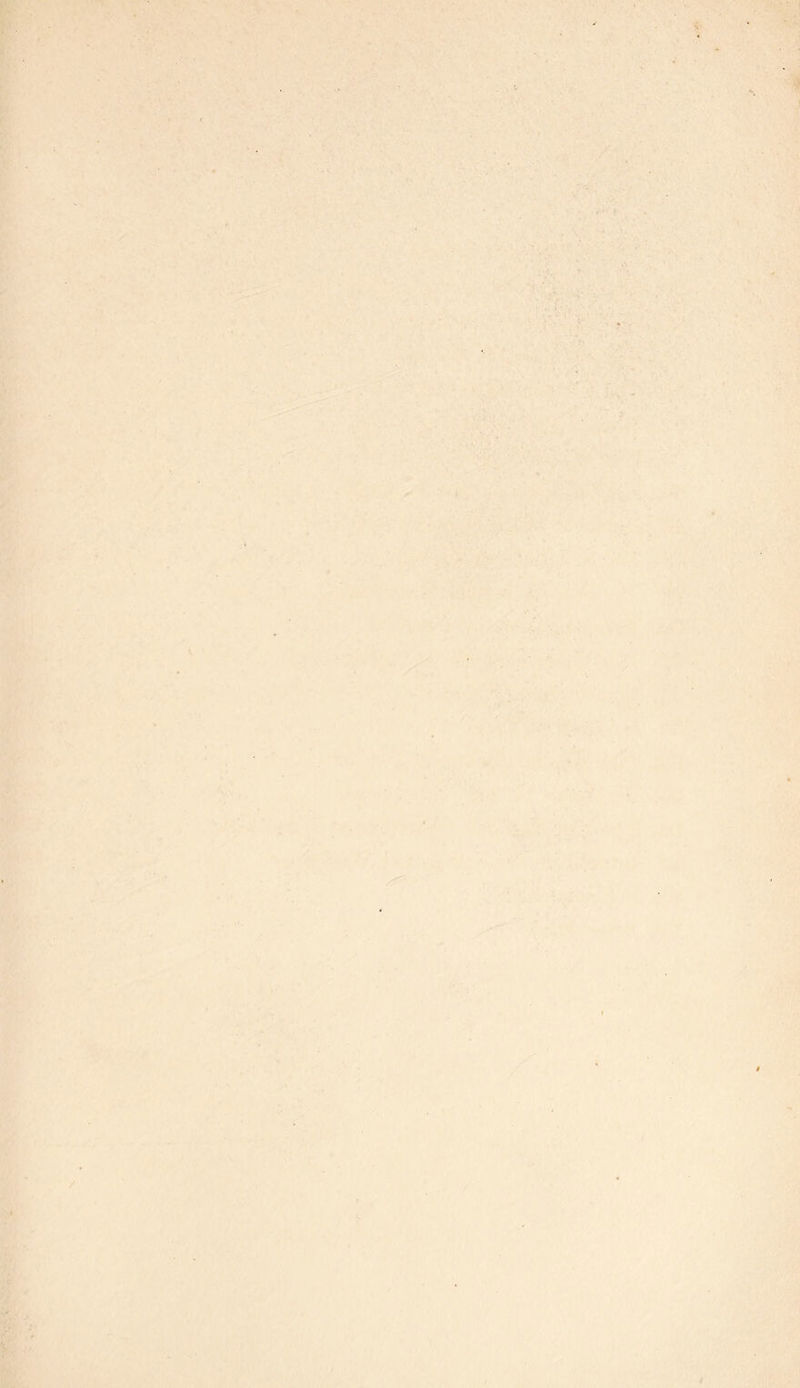 '