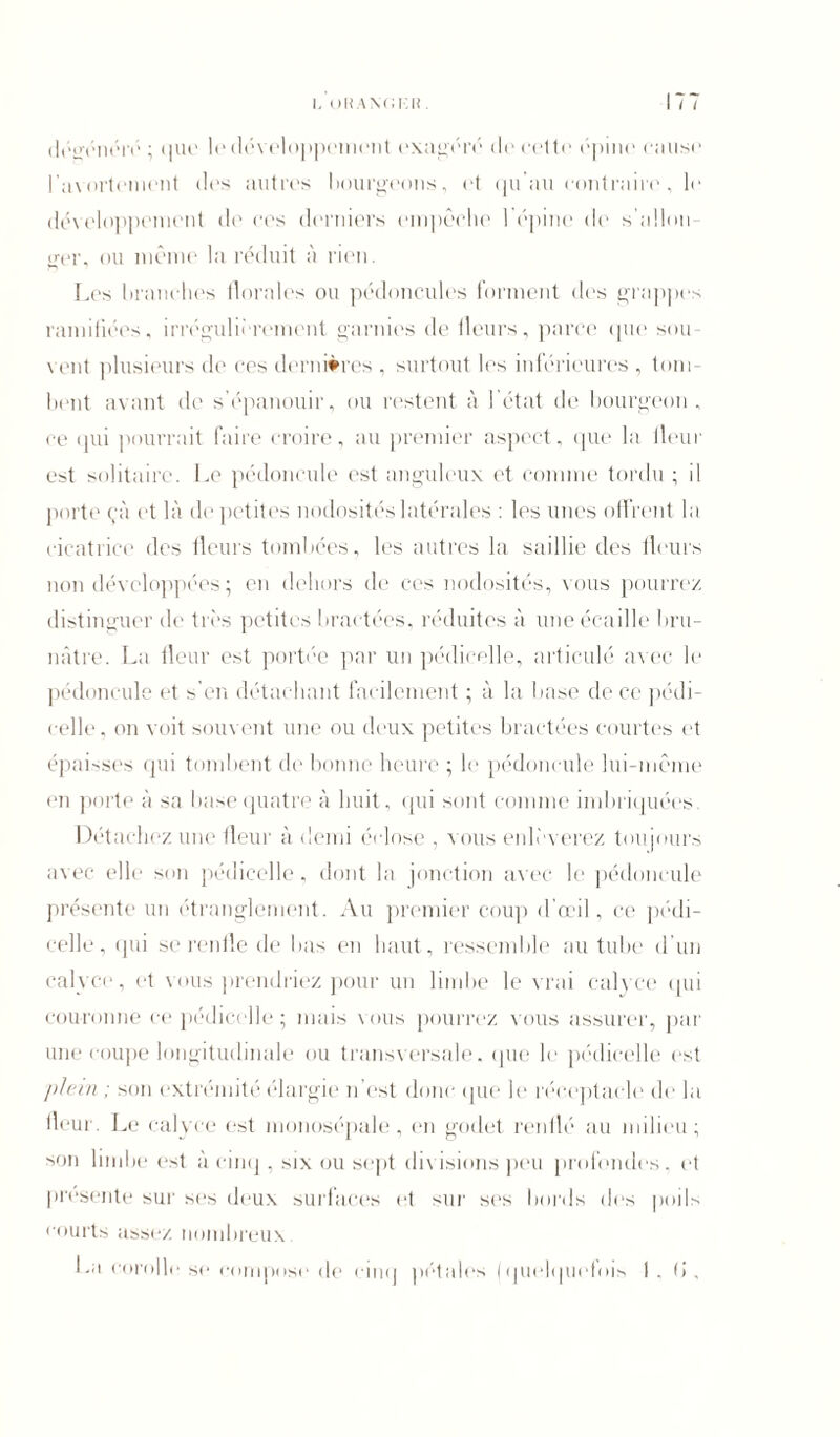 dégénéré; que le développement exagéré de cette épine cause 1 avortement des autres bourgeons, et qu’au contraire, le développement de ces derniers empêche 1 épine de s’allon ger, ou même la réduit à rien. Les branches florales ou pédoncules forment des grappes ramifiées, irrégulièrement garnies de fleurs, parce que sou- vent plusieurs de ces dernières , surtout les inférieures , tom- bent avant de s’épanouir, ou restent à l’état de bourgeon, ce qui pourrait faire croire, au premier aspect, que la fleur est solitaire. Le pédoncule est anguleux et comme tordu ; il porte çà et là de petites nodosités latérales : les unes offrent la cicatrice des fleurs tombées, les autres la saillie des fleurs non développées ; en dehors de ces nodosités, vous pourrez distinguer de très petites bractées, réduites à une écaille bru- nâtre. La fleur est portée par un pédicelle, articulé avec le pédoncule et s’en détachant facilement ; à la base de ce pédi- celle, on voit souvent une ou deux petites bractées courtes et épaisses qui tombent de bonne heure ; le pédoncule lui-même en porte à sa base quatre à huit, qui sont comme imbriquées. Détachez une fleur à demi éclose , vous enlèverez toujours avec elle son pédicelle, dont la jonction avec le pédoncule présente un étranglement. Au premier coup d’œil, ce pédi- celle, qui se renfle de bas en haut, ressemble au tube d’un calyce, et vous prendriez pour un limbe le vrai ealvce qui couronne ce pédicelle ; mais vous pourrez vous assurer, par une coupe longitudinale ou transversale, (jue le pédicelle est plein ; son extrémité élargie n’est donc que le réceptacle de la fleur. Le calyce est monosépale, en godet renflé au milieu; son limbe est à cinq , six ou sept divisions peu profondes, et présenté sur scs deux surlaces et sur ses bords des poils courts assez, nombreux. La corolle se compose do cinq pétales (quelquefois 1 . (i .