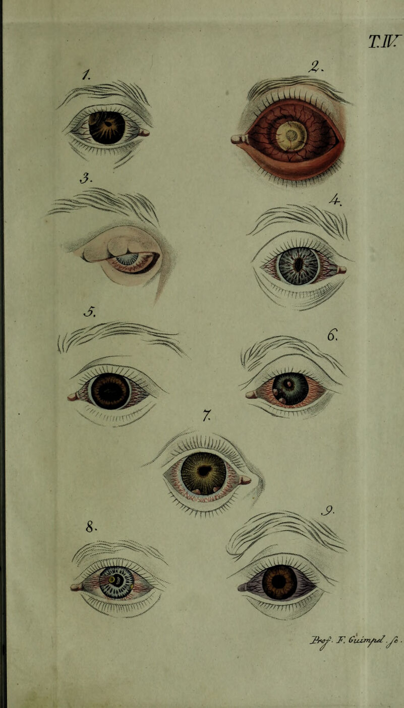 TM ■ F. Guimfiel j'i .