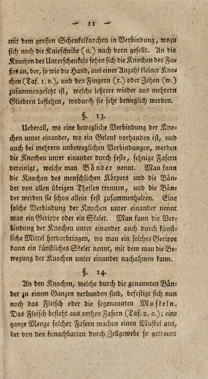 mit bem großen ©djenfelfnochen in SSerbinbung, tto$u ftcf) nod) bie£niefcf)cibe (u.) nacf) tont gefeilt. 2(n bie Knochen beß Unterfdjenfelß fefen ftcf) bie Knochen beß §u* ßeß an, ber, fo wie bie Jparib, au» einer 7tn§a^( Heiner £no< cf)en(5af. i.t.), unb benRingern C«*) ober Selben (».) $ttfammengefe£t iff, weiche leftere wieber auß niedrem ©liebem befielen, woburei) fte fefcr beweglich werben. §• i3- Ueberall, wo eine bewegliche SBerbinbung ber 3tnos djen unter einanber, wo ein ©elenf torhanöeit ijf, unb auch bet meljrern unbeweglichen SBerbinbungcn, werben bie Knochen unter einanber butef) fefte, felfnige §afem bereinigt, welche man SSanber nennt. Sian fann bie Knochen beß mcnfd)ltchm 3\0t*perß unb bie *8an# ber ton allen übrigen feilen trennen, unb bie *Bans ber werben fte fdjon allein fc|d $ufammenhalten. ©tue folcfje S3erbttibung ber 5tnod)cn unter einanber nennt man ein©erippe ober ein ©feiet. SDIan fann bie $Bct* binbung ber Knochen unter einanber auef) burcf) fünfb licfje fDZtttcl hertorbringen, wo man ein fofcf)cö ©erippe bann ein fünftlidjeß ©feiet nennt, mit bem manbie53es wegung ber Knochen unter einanber nachahmen fann. §• 14- %n ben Knochen, welche burch bie genannten 33ans ber ju einem ©an$cn terbunben finb, befeffigt fid) nun noch baß Steifet) ober bie fogenannten Stuf fein, ©aß §leifd) bcfleht auß rotten Safcrn (£af. 2. a.); eine gan,$e Stenge foldjep Safern machen einen Stuftet auß, ber ton ben bcnad;bavtcn burd; Zellgewebe fo getrennt