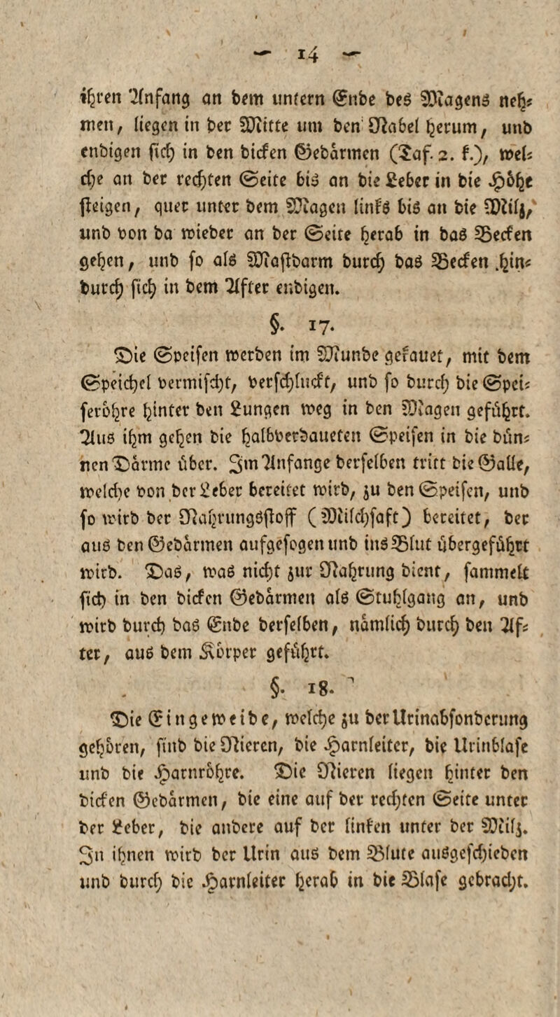 ihren Tlnfang an bem unfern ©nbe beS Wagens neh« men, liegen in ber fDtitte um ben Sßabel herum, unb enbigen fid) in ben birfen ©ebarmcn (5af. 2. f.), *wfe d;e an ber redeten ©eite bi» an bie Sieber in bie Qbfyt feigen, quer unter bem fOiagen linf'S bis an bie (Dttlj, unb bon ba wieber an ber ©eite herab in baS 53ecfen gehen, unb fo als SÜiaßbarm burch baS SBecfen .hin« burch fich in bem Elfter enbigen. §• 17- £>ie ©reifen werben im SDiunbe gerauet, mit bem ©peichel bermifdjt, berfd)lueft, unb fo burch bie ©pct* ferbhre hinter ben Zungen weg in ben Etagen geführt. 21us ihm gehen bie halbberbauetcn ©reifen in bie bum nen'Sarme über. 3™ Anfänge berfelben tritt bie ©alle, meld)c ron ber Sieber bereitet rrirb, $u ben ©reifen, unb fo wirb ber ö}ahvungSftoff (OJtildjfaft) bereitet, ber aus ben©ebarmen aufgefogenunb inS35fut übergeführt wirb. X)aS, was nicf)t jur Oiahrung bient, fantmelt fid) in ben biefen ©ebarmen als ©tublgang an, unb wirb burch bas (£nbe berfelben, nämlich burch ben 21fs ter, aus bem Körper geführt. §• 18.  tDie (^ingemeibc, welche 511 berUtinabfonbcnmg gehören, finb bie Oberen, bie Harnleiter, bie Urinblafe unb bie Harnröhre. £)ic Oberen liegen hinter ben birfen ©ebarmcn, bie eine auf ber redeten ©eite unter ber Sieber, bie anbere auf ber linfen unter ber 9i)iil$. 3n ihnen wirb ber Urin aus bem 2Mute auSgefd)ieben unb burch bie Harnleiter herab in bic 2Mafe gcbrad;t.