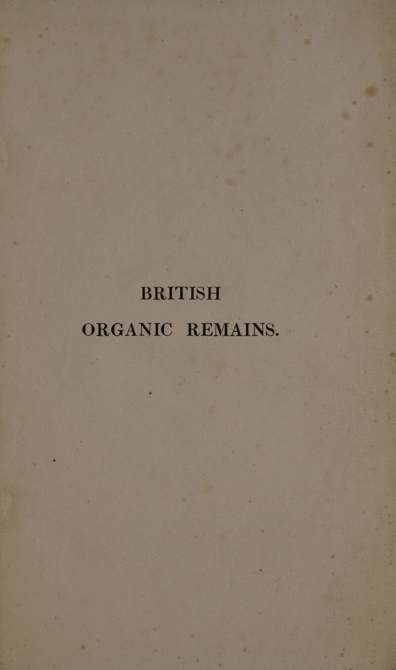 BRITISH ORGANIC REMAINS.