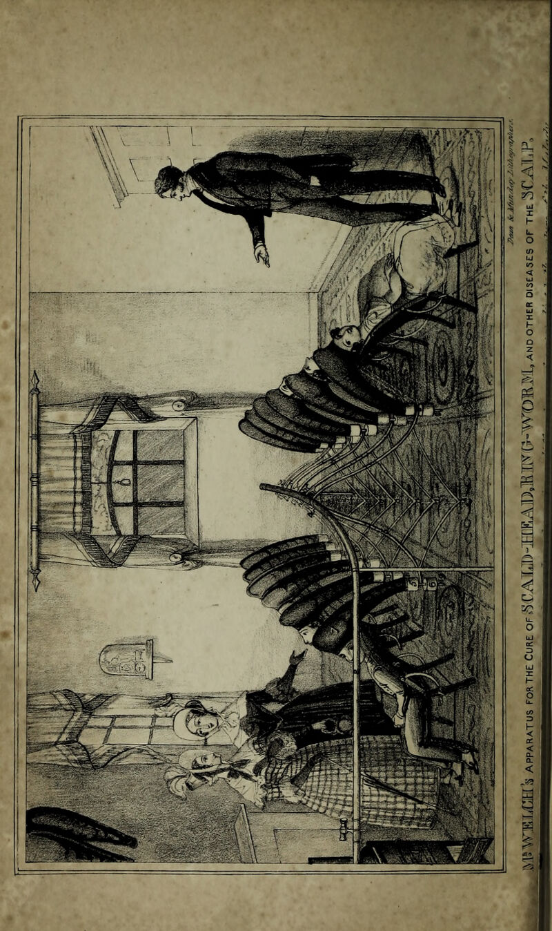 7>&vt Sc J/un/idpZ'/M.ey/-a/i//c/s. M5 WjBIjCH S Apparatus for the Cure of S CA.M^IEiCEAIJsIlilQTO^VOlR^'lI, and other diseases of the 3CLATjP<>