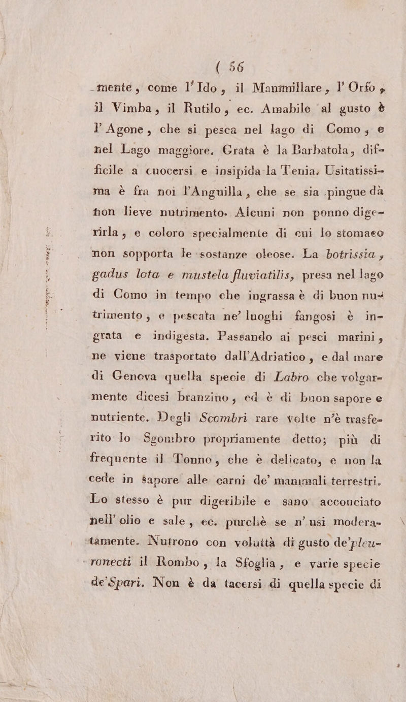 -mente, come l’'Ido, il Manmillare, 1° Orfo , il Vimba, il Rutilo A ec. Amabile al gusto è l Agone, che si pesca nel lago di Como; e nel Lago maggiore. Grata è la Barbatola, dif- ficile a cuocersi e insipida la Tenia; Usitatissi- ma è fra noi l’Anguilla, che se sia pingue dà hon lieve nutrimento. Alcuni non ponno dige- rirla, e coloro specialmente di cui lo stomaco non sopporta le ‘sostanze oleose. La botrissia ; gadus lota e mustela fluviatilis, presa nel lago di Como in tempo che ingrassa è di buon nu trimento; e pescata ne’ luoghi fangosi è in- grata e indigesta. Passando ai pesci marini, ne viene trasportato dall’Adriatico, e dal mare di Genova quella specie di Labro che volgar- mente dicesi branzino, ed è di bnon sapore e nutriente. Degli Scombri rare volte n’è trasfe- rito lo Sgombro propriamente detto; più di frequente il Tonno, che è delicato, e non la cede in sapore alle carni de’ mammali terrestri. Lo stesso è pur digeribile e sano acconciato nell'olio e sale, ec. purcliè se n’ usi modera» tamente. Nutrono con voluttà di gusto de’pleu= de Spari. Non è da tacersi di quella specie di