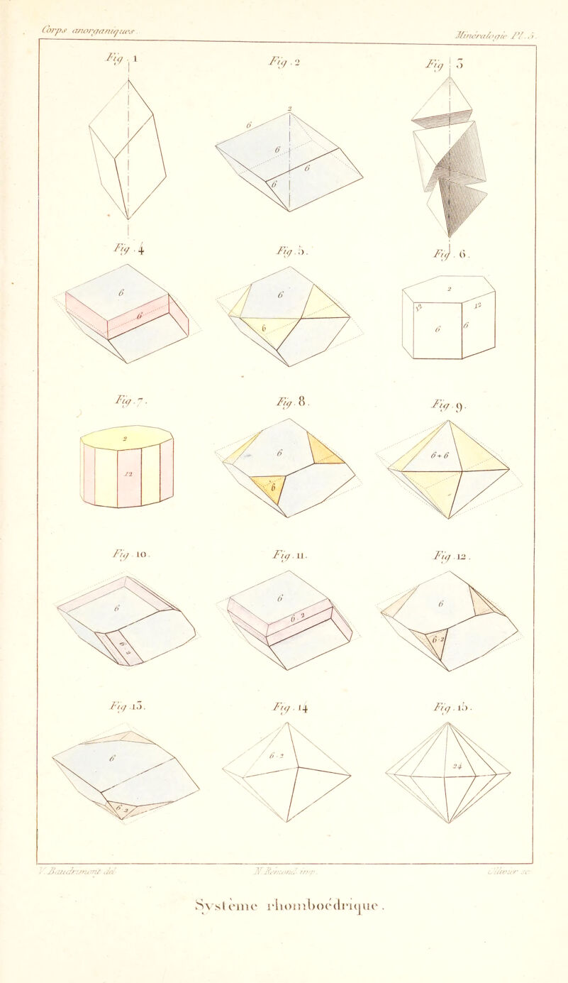 ,/i’t S\ s( cinc i‘ln)tnl)<)C(li*i(jue .