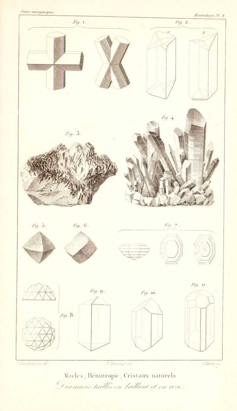(orps <Tnorç<z/ic^ftf^s —— —J^i/t^ra/vpfe J*i. S. \l;icl(,-s, llcimlropic , ( rist aux naUii'cls _ / />■/////^///, ' ^ // r/ y y/ yy./y ,