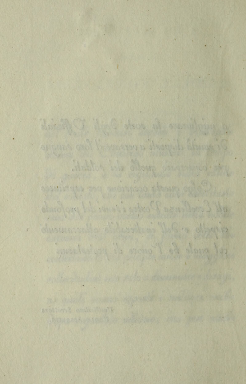 '' *■ iu' .) à .’. ^\ \ \.V *v L 1* •• * \ ^ r ‘ T'* j'u f- . ’/ • I V'V| ) ' ;.'#:‘•*: - ' 0 t ^^ ^v: ■ V • . ' ‘cS.h. .• / 1 _ ? , ' V.' V- ' **•.*.' ' ■ v' . ■. V ■ - ■■.^' ■. *■ ^- ■ ■ ■ '.. .^ ^.^' I iV . VI ' V iv ■ , ' ,. ■ r ■?> ' t ‘ V ^■•'4 *v V ■f- ‘‘M '4:, • > '» 'h ’i.i .:'■'; * W :'. .. ,u- i. i „ t ■■‘'j