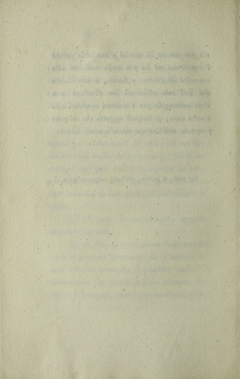 ■1 (i-r^ \ ..•'.nv > i ',/ ■%.!'