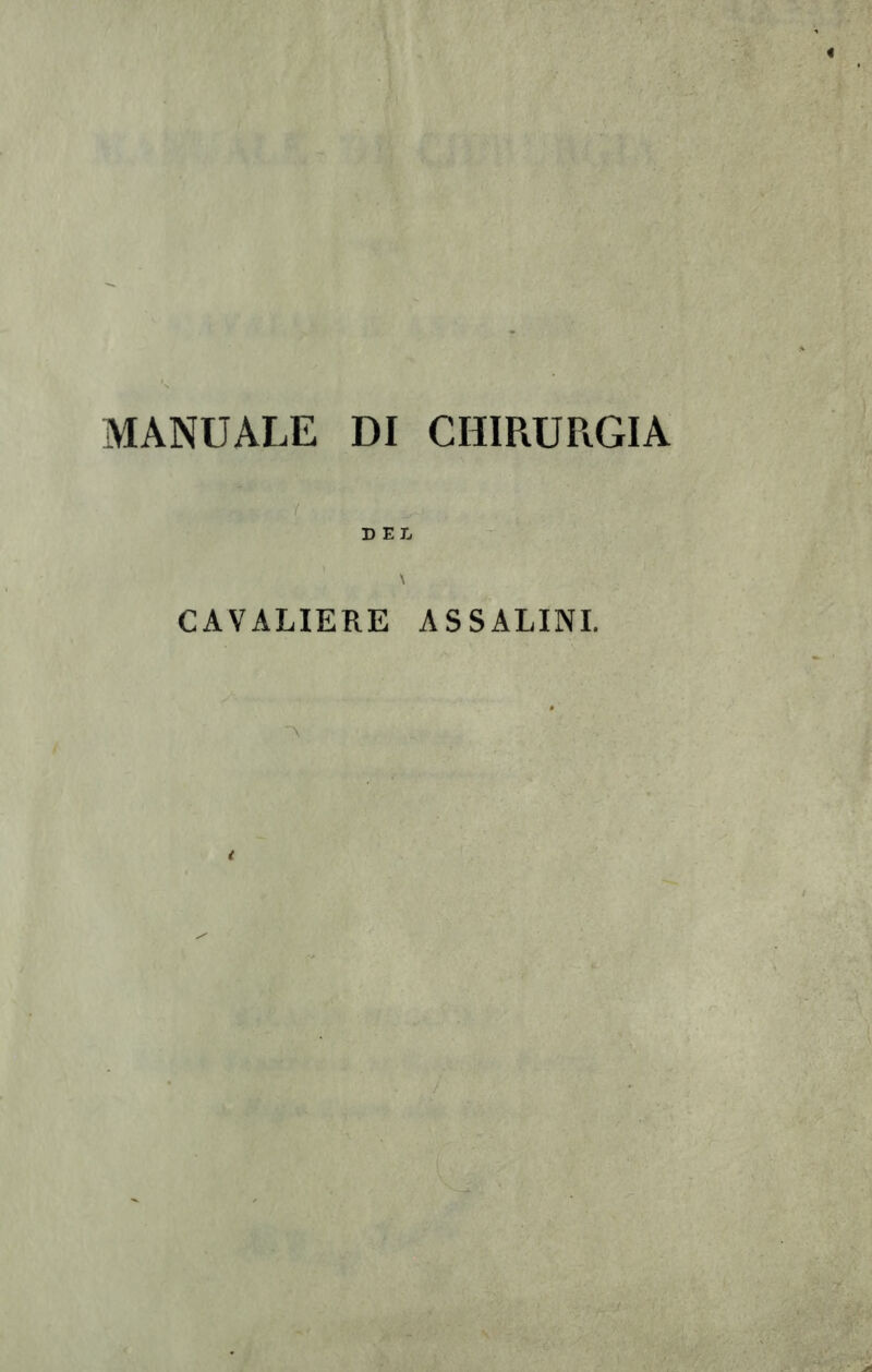 DEL CAVALIERE ASSALINE