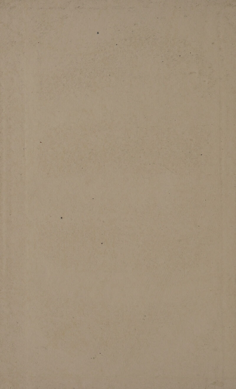 we er: =e % *. set a wet prea yest n> >. ras