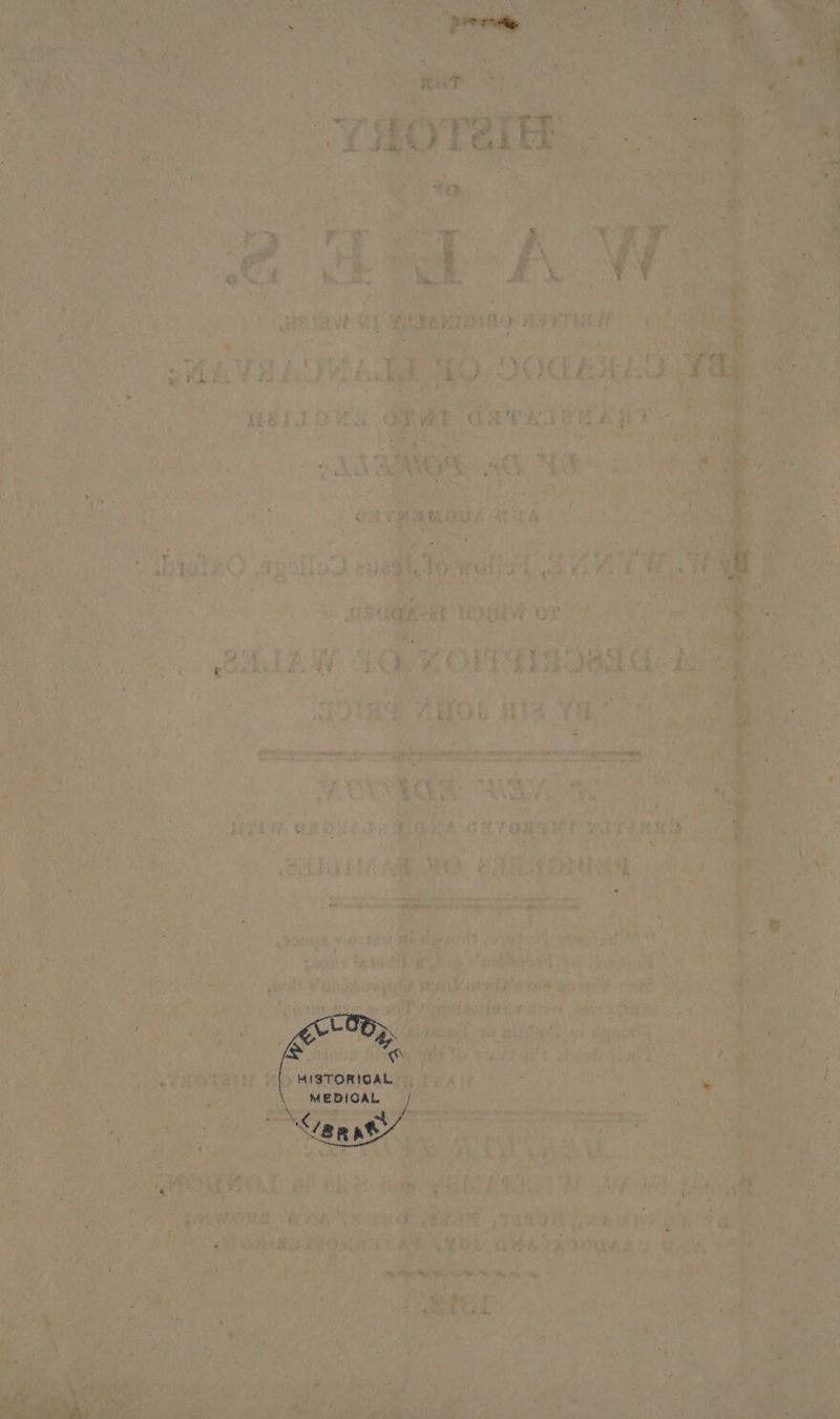 ch eas ilk ange 4, in tie 0 cae } i ysrinwarys equa ox shevendvies periieront ) ee | i (wily ee, 4 aged et te Miri ay t ube sob: fine VF ail an ; : ‘ , wid fe ue ae tet