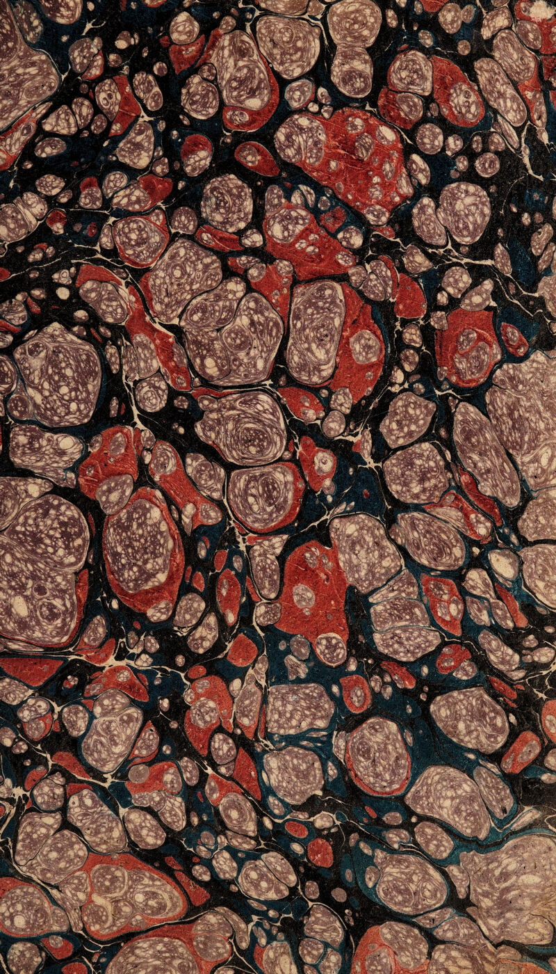 Km F: . - ^ '’'*i^*^ j^yt' s iij ferlvaa WmÊt * ■ J * '^.jÉP^i», »•