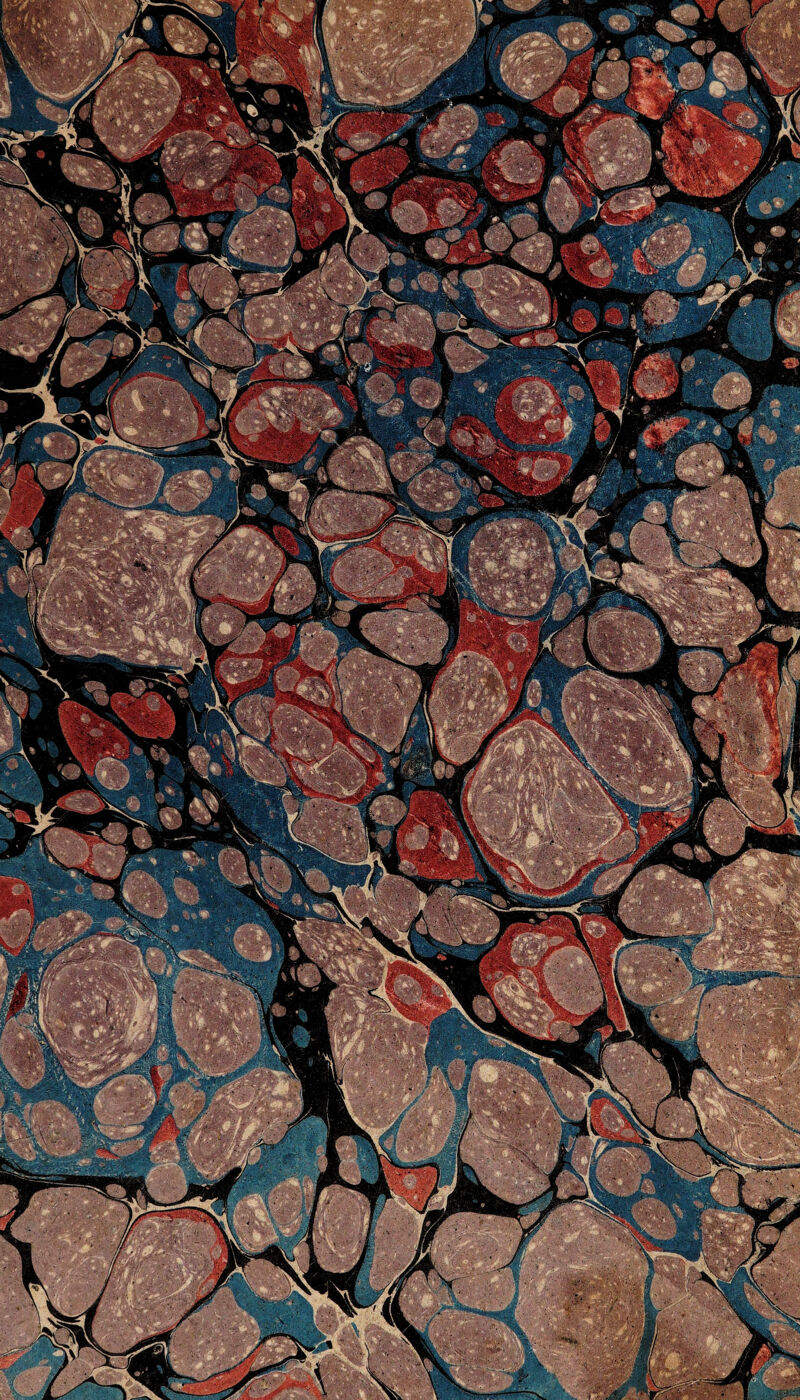 .-^i' '. ^ ^Rv-. BBB: v' K F f ^'’' ?'iir^'/■'' f‘- ■ >. \ ■i'/èÆ. ■' ' ' V j^ • vV ■ '^t-'^i'' •'’ ■ ' ■ ■ “'£■ 'y '-'' '■' B ■j^c * . . \-^K '-:'ë^/ .- ■. /s i lÉ^''' m :M E