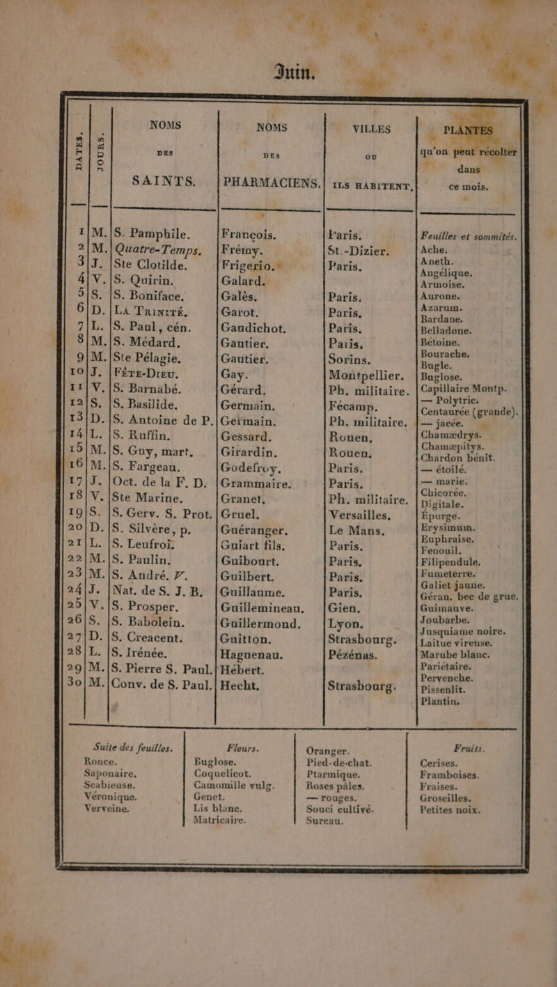 Ci © © GI Do OO D , FErASZE 22 COASER ES EME MOPAINSES NOMS DES SAINTS, Quatre-T. emps. Ste Clotilde. S. Quirin. S. Boniface. LA TRriNzTÉ. S. Paul, cén. S. Médard, Ste Pélagie. Fère-Dreu. S. Barnabé. S. Pasilide. S. Ruffin. S. Guy, mart, Ste Marine. S. Silvère, p. S. Leufroi. S. André. 7. S. Prosper. S. Babolein., S. Creacent. S. Irénée. NOMS DES François. Fréroy. Frigerio.® Galard. Galès, Garot. Gaudichot, Gautier. Gautier. Gay. Gérard, Germain. Germain. Gessard. Girardin, Godefroy. Grammaire. Granet, Gruel. Guéranger. Guiart fils. Guibourt. Guilbert, Guillaume. Guillemineau. Guillermond, Guitton. Haguenau. ou Faris. St.-Dizier. Paris. Paris. Paris. Paris, Paris, Sorins. Montpellier. Fécamp. Ph. militaire. Rouen, Rouen, Paris. Paris. Ph. militaire, Versailles, Le Mans. Paris. Paris. Paris. Paris. Gien. Lyon. Strasbourg. Pézénas. Strasbourg. Feuilles et sommites. Ache. Aneth. Angélique, Armoise. Aurone. Azarum. Bardane. Belladone. Bétoine. Bourache. Bugle. Buglose. Capillaire Montp. — Polytric. Centaurée (grande). Chamædrys. Chamæpitys. Chardon beénit. — étoilé. — marie. Chicorée. Digitale. Epurge. Erysimum. Euphraise. Fenouil. Filipendule. Fumeterre. Galiet jaune. Géran. bec de grue. Guimauve. Joubarbe. Jusquiame noire. Laitue vireuse. Marube blanc. Pariétaire, Pervenche. Pissenlit. Plantin, Suite des feuilles. Fleurs. Oranger. Fruits. Ronce. PBuglose. Pied-de-chat. Cerises. Saponaire. Coquelicot. Ptarmique. Framboises. Scabieuse. Camomille vulg. Roses pâles. Fraises. Véronique. Genet. — rouges. Groseilles. Verveine. Lis blanc. Souci cultivé. Petites noix. Matricaire. Sureau.