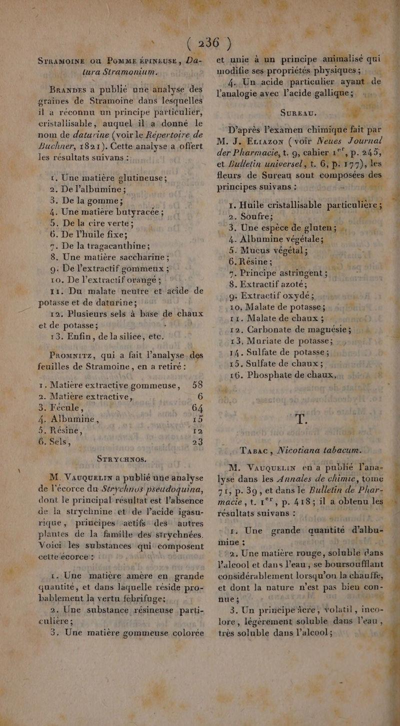 HT UMN + L'ù NTE STRAMOINE Ou PGMME ÉPINEUSE, Da- tura Stramonium. Branpes a publié une analyse des graines de Stramoine dans lesquelles il a réconnu un principe particulier, cristaliisable, auquel il a donné le nom de daturine (voir le Répertoire de Buchner, 1821). Cette analyse a offert les résultats suivans : rt, Une matière glutineuse; 2. De l’albumine; 3. De la gomme; ut Une matière butyracée ; 5. De la cire verte; 6. De l’huile fixe; 7. De la tragdconthines 8. Une matière saccharine ; 9: De l’extractif gommeux ; 10. De l’extractif orange ; 1. Du malate neutre et acide de potasse et de daturine; 12. Plusieurs sels à base de chaux et de potasse; . 13. Enfin, de la silice, etc. Promxirz, qui a fait l'analyse des feuilles de Stramoine , en a retiré : Tr. Matière extractive gommeuse, 58 2. Matière extractive, 6 3. Fécule, 64 4. Albumine, 15 5. Résine, ra 6. Sels, 23 STRYCHNOS. M. Vauquezrn a publié une analyse de l'écorce du Strÿchnos psétdoquina, dont le principal ‘résultat est l’absence de la strychnine etde lacide igasu- rique, principes actifs des autres plantes de la famille dés strÿchnées. Voici les substances qui composent cette écorce : 1. Une matière amère en, grande quantité, et dans laquelle réside pro- bablement la vertu fébrifuge: 2. Une substance résineuse parti- culiere ; 3, Une matière gommeuse colorce el et unie à un principe OT. qui modifie ses- propriétés physiques; À 4. Un.acide ‘particulier ayant, de l’analogie avec l’acide giliques qe À à, ii SUREAU. + 6 Fr D’après l'examen chimique 1 fait par +‘ M. J. Errazow (voir Veues Journal der Pharmacie, t. 9, cahier 1°° °, p.245, et Bulletin universel, t. 6, p: 197); les fleurs de Sureau sout composées des principes suivans : : - : 11 1. Huile cristallisable Par en E | 2. Soufre; U 3. Une espèce de ne  ‘ 4. Albumine végétale; 5. Mucus végétal ; ? 6.Resine ; # 7. Principe astringent ; | 8. Extractif azoté; 9+ Extractif oxydé; .10, Malate de potasse; 11. Malate de chaux ; 12. Carbonate de maguésie; : à À 13, Muriate de potasse; 4 14. Sulfate de potasse; 15. Sulfate de chaux; 16. Phosphate de chaux, à À te Tasac, Micotiana tabacum. M. Vauquezin en a publié l’ana- lyse dans les Annales de chimie, tome 71 P- 39; ” dans le Rulletin de Te macie ,t. 1°°, p. 418; il a obtenu les » résultats suivans : LS À 1. Une grande: quantité d'albu- mine ; 2, Une matière rouge, soluble dans Paleool et dans l’eau ; se boursoufflant considérablement lorsqu'on la chauffe, et dont la nature n’est pas bien con- » LE. PE nue ; t 3. Un bte , Yolatil, imco- lore, légèrement soluble dans Peau , très soluble dans l’alcool;