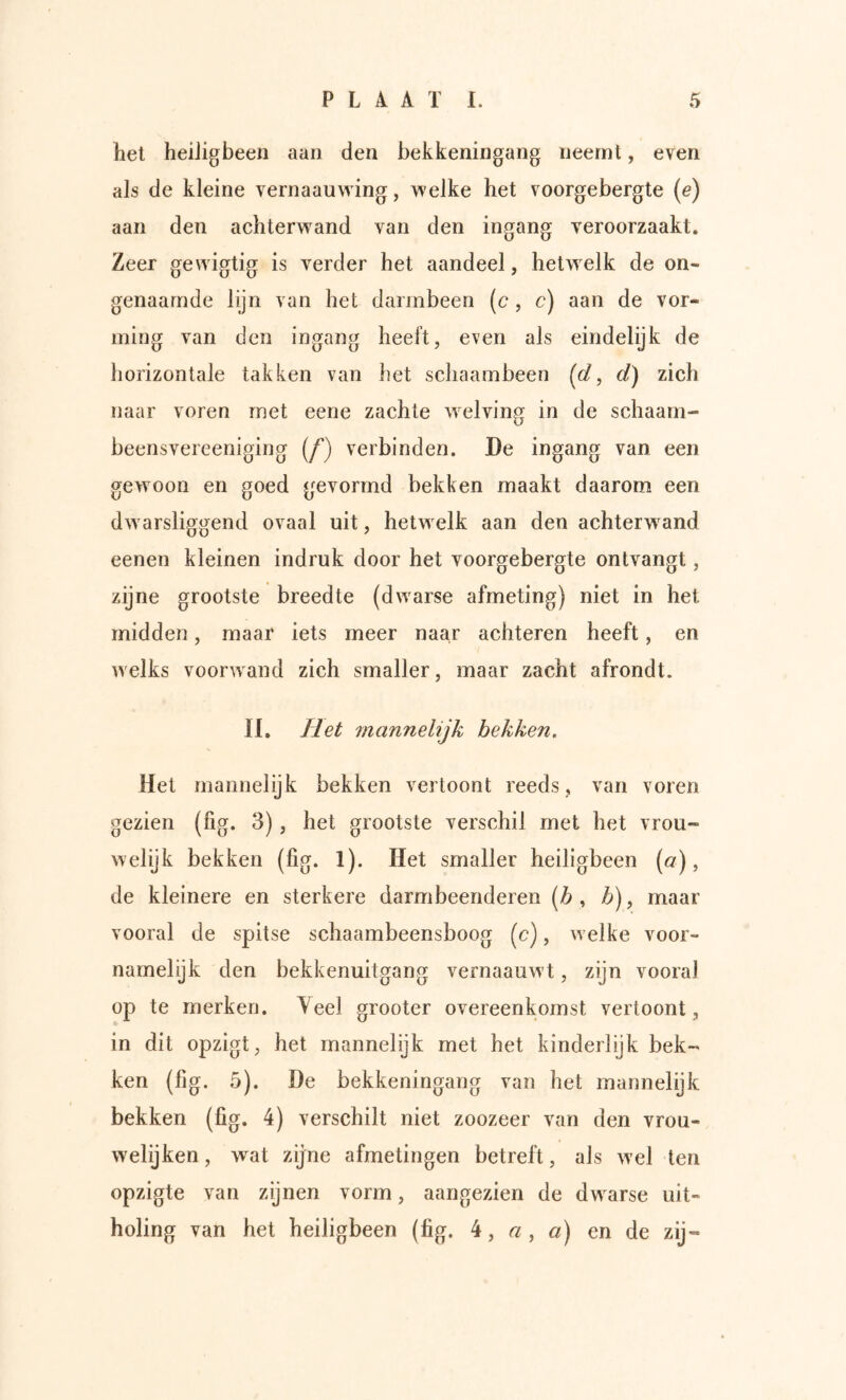 het heiligbeen aan den bekkeningang neemt, even als de kleine vernaauwing, welke het voorgebergte {e) aan den achterwand van den ingang veroorzaakt. Zeer gewigtig is verder het aandeel, hetwelk de on- genaarnde lijn van het darmbeen (c, c) aan de vor- ming van den ingang heeft, even als eindelijk de horizontale takken van het scliaambeen (d, d) zich naar voren met eene zachte w^elving in de schaarn- beensvereeniging (ƒ) verbinden. De ingang van een gewoon en goed gevormd bekken maakt daarom een dwarsliggend ovaal uit, hetwelk aan den achterw^and eenen kleinen indruk door het voorgebergte ontvangt, zijne grootste breedte (dwarse afmeting) niet in het midden, maar iets meer naar achteren heeft, en welks voorwand zich smaller, maar zacht afrondt. II. Het mannelijk bekken. Het mannelijk bekken vertoont reeds, van voren gezien (fig. 3), het grootste verschil met het vrou- welijk bekken (fig. 1). Het smaller heiligbeen (o), de kleinere en sterkere darmbeenderen (b , b), maar vooral de spitse schaambeensboog (c), w elke voor- namelijk den bekkenuitgang vernaauwt, zijn vooral op te merken. Yeel grooter overeenkomst vertoont, in dit opzigt, het mannelijk met het kinderlijk bek- ken (fig. 5). De bekkeningang van het mannelijk bekken (fig. 4) verschilt niet zoozeer van den vrou- welijken, wat zijne afmetingen betreft, als wel ten opzigte van zijnen vorm, aangezien de dw arse uit- holing van het heiligbeen (fig. 4, o;, a) en de zij-