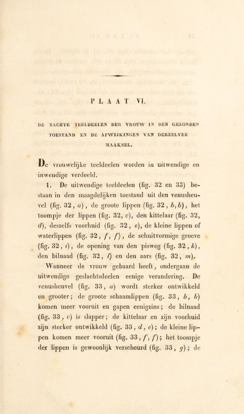 DE ZACHTE TEELDEELEN DEK VROUW IN DEN GEZONDEN TOESTAND EN DE AFWIJKINGEN VAN DERZELVER MAAKSEL. De vroawelijke teeldeelen worden in uitwendige en inwendige verdeeld. 1. De uitwendige teeldeelen (fig. 32 en 33) be- slaan in den maagdelijken toestand uit den venusheu- vel (fig. 32, a), de groote lippen (fig. 32 , h,b), het toompje der lippen (fig. 32, c), den kittelaar (fig. 32, f/), deszelfs voorhuid (fig. 32, e), de kleine lippen of w^aterlippen (fig. 32, f j f) , de schuitvormige groeve (fig. 32 , ^), de opening van den pisweg (fig. 32 , ^), den bilnaad (fig. 32, /) en den aars (fig. 32, m). Wanneer de vrouw gebaard heeft, ondergaan de uitw'endige geslachtsdeelen eenige verandering. De venusheuvel (fig. 33, a) wordt sterker ontwikkeld en grooter; de groote schaamlippen (fig, 33, b, b) komen meer vooruit en gapen eenigzins; de bilnaad (fig. 33, c) is slapper; de kittelaar en zijn voorhuid zijn sterker ontwikkeld (fig. 33, c/, e); de kleine lip- pen komen meer vooruit (fig. 33het toompje