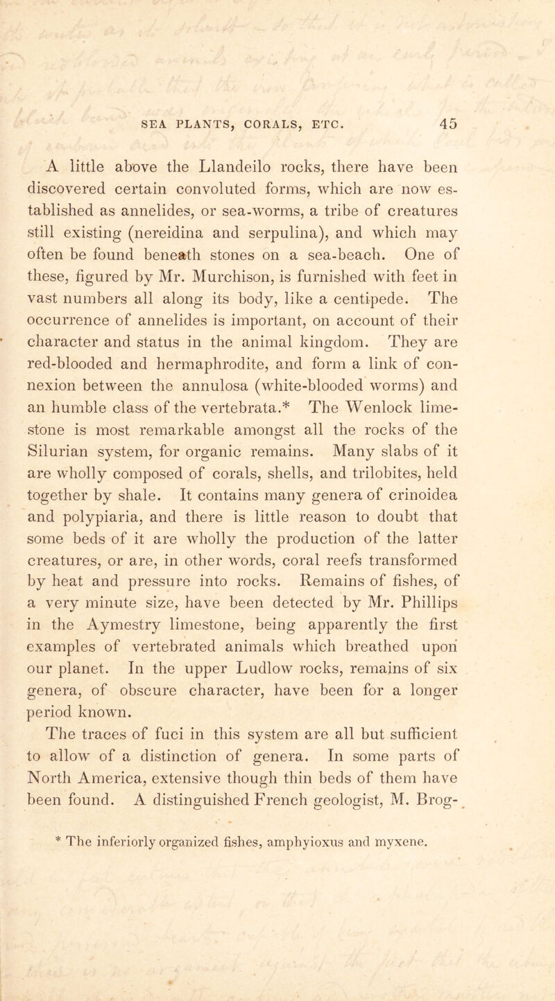 A little above the Llandeilo rocks, there have been discovered certain convoluted forms, which are now es- tablished as annelides, or sea-worms, a tribe of creatures still existing (nereidina and serpulina), and which may often be found beneath stones on a sea-beach. One of these, figured by Mr. Murchison, is furnished with feet in vast numbers all along its body, like a centipede. The occurrence of annelides is important, on account of their character and status in the animal kingdom. They are red-blooded and hermaphrodite, and form a link of con- nexion between the annulosa (white-blooded worms) and an humble class of the vertebrata.* The Wenlock lime- stone is most remarkable amongst all the rocks of the Silurian system, for organic remains. Many slabs of it are wholly composed of corals, shells, and trilobites, held together by shale. It contains many genera of crinoidea and polypiaria, and there is little reason to doubt that some beds of it are wholly the production of the latter creatures, or are, in other words, coral reefs transformed by heat and pressure into rocks. Remains of fishes, of a very minute size, have been detected by Mr. Phillips in the Aymestry limestone, being apparently the first examples of vertebrated animals which breathed upon our planet. In the upper Ludlow rocks, remains of six genera, of obscure character, have been for a longer period known. The traces of fuci in this system are all but sufficient to allow of a distinction of genera. In some parts of North America, extensive though thin beds of them have been found. A distinguished French geologist, M. Brog- * The interiorly organized fishes, amphyioxus and myxene.