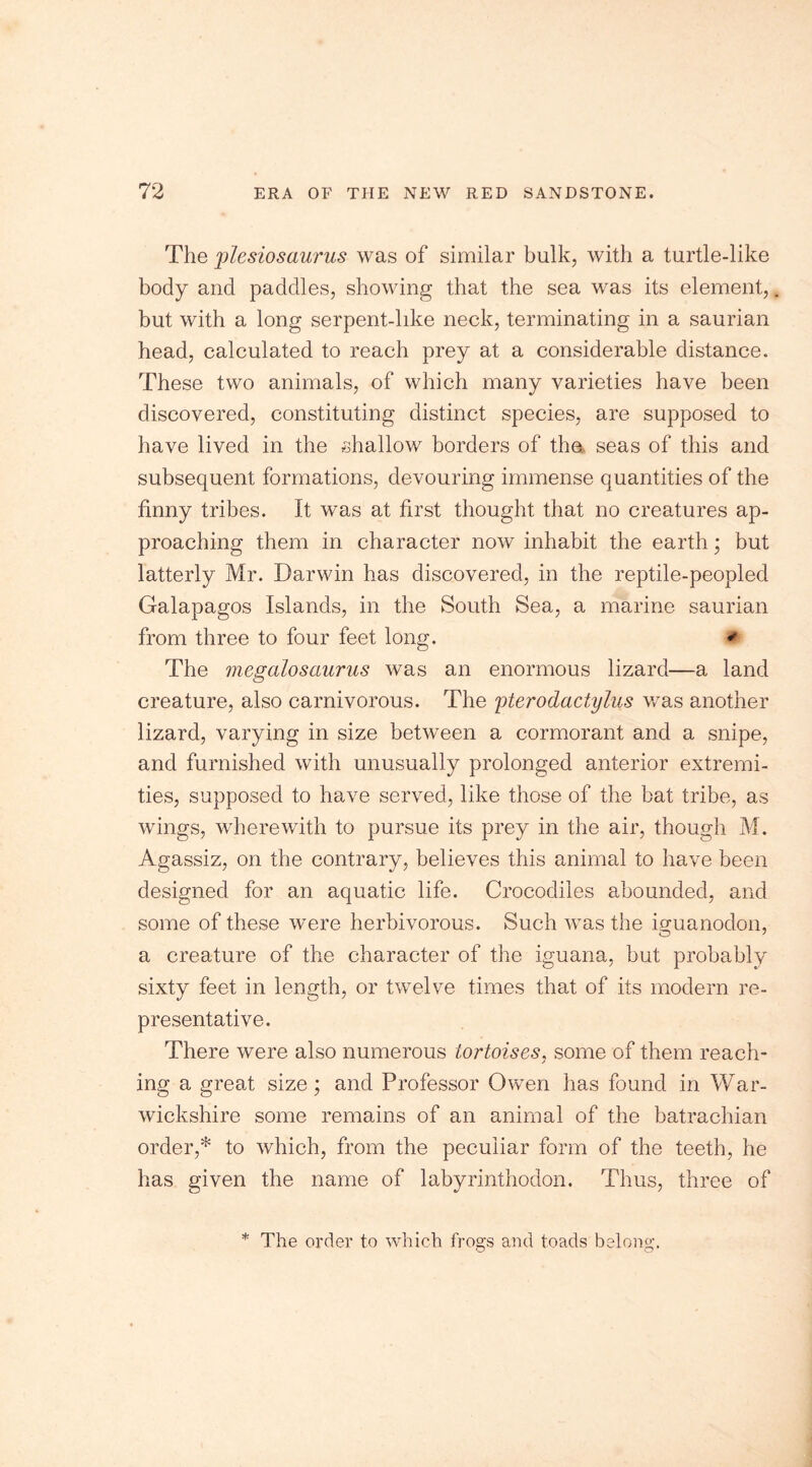 The plesiosaurus was of similar bulk, with a turtle-like body and paddles, showing that the sea was its element, but with a long serpent-like neck, terminating in a saurian head, calculated to reach prey at a considerable distance. These two animals, of which many varieties have been discovered, constituting distinct species, are supposed to have lived in the shallow borders of the, seas of this and subsequent formations, devouring immense quantities of the finny tribes. It was at first thought that no creatures ap- proaching them in character now inhabit the earth ; but latterly Mr. Darwin has discovered, in the reptile-peopled Galapagos Islands, in the South Sea, a marine saurian from three to four feet long. * The megalosaurus was an enormous lizard—a land creature, also carnivorous. The pterodactylus was another lizard, varying in size between a cormorant and a snipe, and furnished with unusually prolonged anterior extremi- ties, supposed to have served, like those of the bat tribe, as wings, wherewith to pursue its prey in the air, though M. Agassiz, on the contrary, believes this animal to have been designed for an aquatic life. Crocodiles abounded, and some of these were herbivorous. Such was the imianodon, a creature of the character of the iguana, but probably sixty feet in length, or twelve times that of its modern re- presentative. There were also numerous tortoises, some of them reach- ing a great size; and Professor Owen has found in War- wickshire some remains of an animal of the batrachian order,* to which, from the peculiar form of the teeth, he has given the name of labyrinthoaon. Thus, three of * The order to which frogs and toads belong.