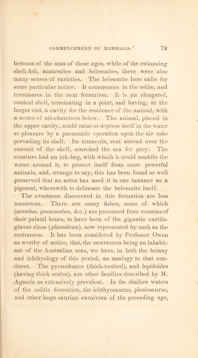 bottoms of the seas of those ages, while of the swimming shell-fish, ammonites and belemnites, there were also many scores of varieties. The belemnite here calls for some particular notice. It commences in the oolite, and terminates in the next formation. It is an elongated, conical shell, terminating in a point, and having, at the larger end, a cavity for the residence of the animal, with a series of air-chambers below. The animal, placed in the upper cavity, could raise or depress itself in the water at pleasure by a pneumatic operation upon the air tube pervading its shell, its tentacula, sent abroad over the summit of the shell, searched the sea for prey. The creature had an ink-bag, with which it could muddle the water around it, to protect itself from more powerful animals, and, strange to say, this has been found so well preserved that an artist has used it in one instance as a pigment, wherewith to delineate the belemnite itself. The Crustacea discovered in this formation are less numerous. There are many fishes, some of which {acrodus, pscmimoclus, &c.) are presumed from remains of their palatal bones, to have been of the gigantic cartila- ginous class (placoidean), now represented by such as the cestraceon. It has been considered by Professor Owen as worthy of notice, that, the cestraceon being an inhabit- ant of the Australian seas, we have, in both the botany and ichthyology of this period, an analogy to that con- tinent. The pycnodontes (thick-toothed), and lepidoides (having thick scales), are other families described by M. Agassiz as extensively prevalent. In the shallow waters of the oolitic formation, the ichthyosaurus, plesiosaurus, and other huge saurian carnivora of the preceding age,