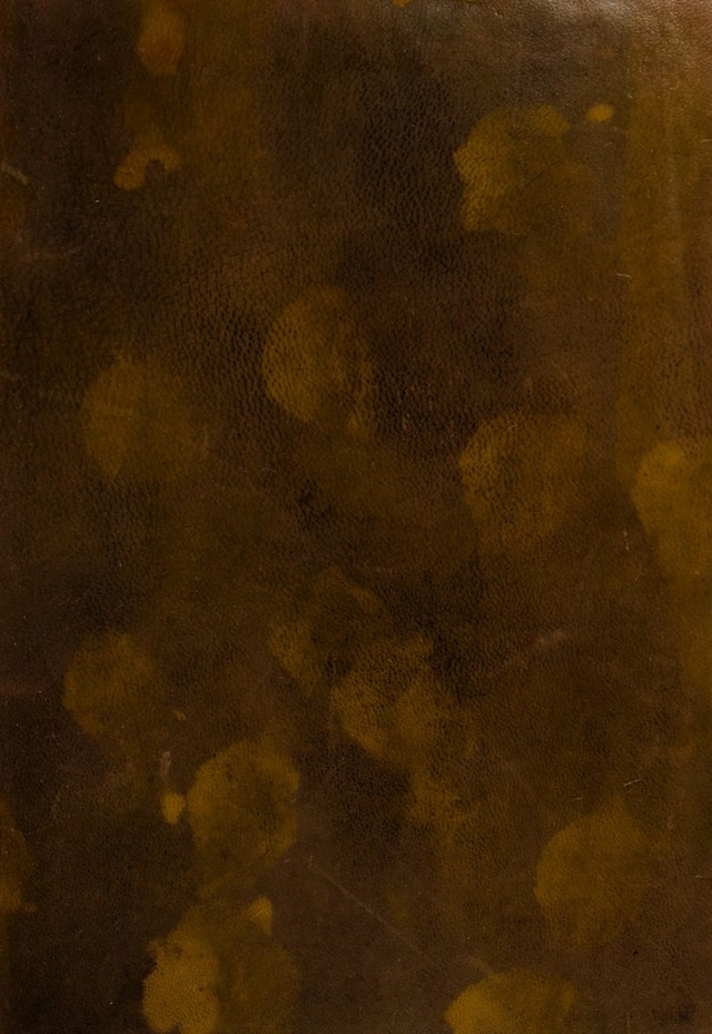 No text description is available for this image