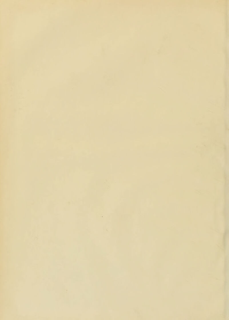 a ...s# A « I V •é * »