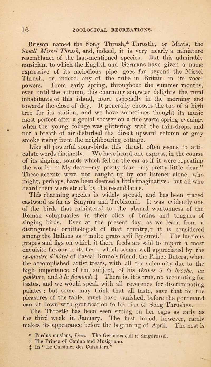 Brisson named the Song Thrush,* Throstle, or Mavis, the Small Missel Thrush, and, indeed, it is very nearly a miniature resemblance of the last-mentioned species. But this admirable musician, to which the English and Germans have given a name expressive of its melodious pipe, goes far beyond the Missel Thrush, or, indeed, any of the tribe in Britain, in its vocal powers. From early spring, throughout the summer months, even until the autumn, this charming songster delights the rural inhabitants of this island, more especially in the morning and towards the close of day. It generally chooses the top of a high tree for its station, and we have sometimes thought its music most perfect after a genial shower on a fine warm spring evening, when the young foliage was glittering with the rain-drops, and not a breath of air disturbed the direct upward column of gray smoke rising from the neighbouring cottage. Like all powerful song-birds, this thrush often seems to arti- culate words distinctly. We have heard one express, in the course of its singing, sounds which fell on the ear as if it were repeating the words—“ My dear—my pretty dear—my pretty little dear.” These accents were not caught up by one listener alone, who might, perhaps, have been deemed a little imaginative; but ail who heard them were struck by the resemblance. This charming species is widely spread, and has been traced eastward as far as Smyrna and Trebizond. It was evidently one of the birds that ministered to the absurd wantonness of the Roman voluptuaries in their olios of brains and tongues of singing birds. Even at the present day, as we learn from a distinguished ornithologist of that country,! it is considered among the Italians as “ molto grato agli Epicurei.” The luscious grapes and figs on which it there feeds are said to impart a most exquisite flavour to its flesh, which seems well appreciated by the ex-maitre d’’hotel of Pascal Bruno’s friend, the Prince Butera, when the accomplished artist treats, with all the solemnity due to the high importance of the subject, of his Grives d la broclie, au genievre, and d la flamande.X There is, it is true, no accounting for tastes, and we would speak with all reverence for discriminating palates ; but some may think that all taste, save that for the pleasures of the table, must have vanished, before the gourmand can sit down with gratification to his dish of Song Thrushes. The Throstle has been seen sitting on her eggs as early as the third week in January. The first brood, however, rarely makes its appearance before the beginning of April. The nest is * Turdus musicus, Linn. The Germans call it Singdrossel. f The Prince of Canino and Miisignano. X In “ Le Cuisinier des Cuisiniers.”