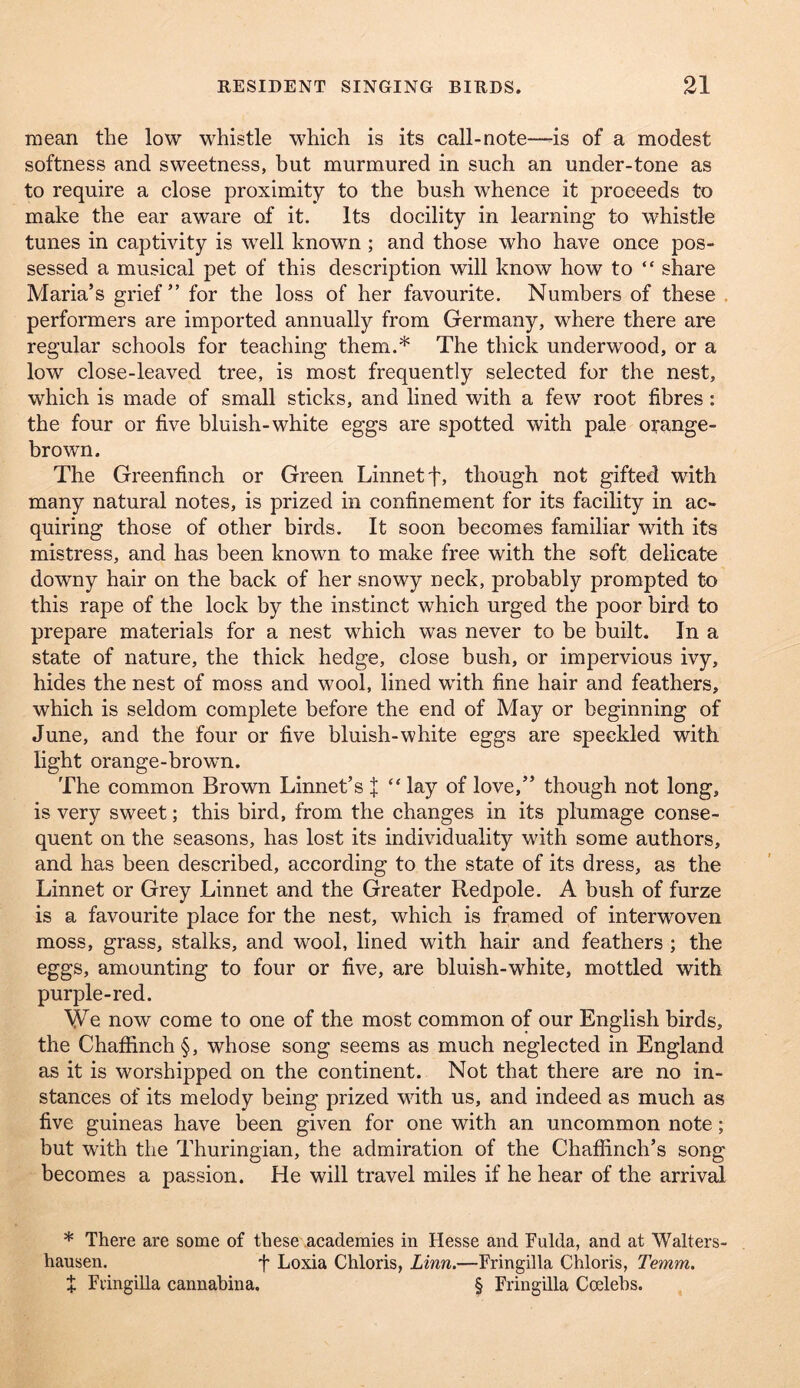 mean the low whistle which is its call-note—-is of a modest softness and sweetness, but murmured in such an under-tone as to require a close proximity to the bush whence it proceeds to make the ear aware of it. Its docility in learning to whistle tunes in captivity is well known ; and those who have once pos- sessed a musical pet of this description will know how to “ share Maria’s grief” for the loss of her favourite. Numbers of these . performers are imported annually from Germany, where there are regular schools for teaching them.* The thick underwood, or a low close-leaved tree, is most frequently selected for the nest, which is made of small sticks, and lined with a few root fibres: the four or five bluish-white eggs are spotted with pale orange- brown. The Greenfinch or Green Linnet f, though not gifted with many natural notes, is prized in confinement for its facility in ac- quiring those of other birds. It soon becomes familiar with its mistress, and has been known to make free with the soft delicate downy hair on the back of her snowy neck, probably prompted to this rape of the lock by the instinct which urged the poor bird to prepare materials for a nest which was never to be built. In a state of nature, the thick hedge, close bush, or impervious ivy, hides the nest of moss and wool, lined with fine hair and feathers, which is seldom complete before the end of May or beginning of June, and the four or five bluish-white eggs are speckled with light orange-brown. The common Brown Linnet’s X “ lay of love,” though not long, is very sweet; this bird, from the changes in its plumage conse- quent on the seasons, has lost its individuality with some authors, and has been described, according to the state of its dress, as the Linnet or Grey Linnet and the Greater Redpole. A bush of furze is a favourite place for the nest, which is framed of interwoven moss, grass, stalks, and wool, lined with hair and feathers ; the eggs, amounting to four or five, are bluish-white, mottled with purple-red. We now come to one of the most common of our English birds, the Chaffinch §, whose song seems as much neglected in England as it is worshipped on the continent. Not that there are no in- stances of its melody being prized with us, and indeed as much as five guineas have been given for one with an uncommon note; but with the Thuringian, the admiration of the Chaffinch’s song becomes a passion. He will travel miles if he hear of the arrival * There are some of these academies in Hesse and Fulda, and at Walters- hausen. f Loxia Chloris, Linn.—Fringilla Chloris, Temm. J Fringilla cannabina. § Fringilla Ccelehs.