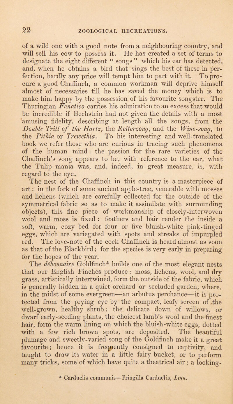 of a wild one with a good note from a neighbouring country, and will sell his cow to possess it. He has created a set of terms to designate the eight dilferent “ songs ” which his ear has detected, and, when he obtains a bird that sings the best of these in per- fection, hardly any price will tempt him to part with it. To pro- cure a good Chaffinch, a common workman will deprive himself almost of necessaries till he has saved the money which is to make him happy by the possession of his favourite songster. The Thuringian Fanatico carries his admiration to an excess that would be incredible if Bechstein had not given the details with a most amusing fidelity, describing at length all the songs, from the Double Trill of the Hartz, the Reiterzong, and the Wine-song, to the Pithia or Trewethia. To his interesting and well-translated book we refer those who are curious in tracing such phenomena of the human mind: the passion for the rare varieties of the Chaffinch’s song appears to be, with reference to the ear, what the Tulip mania was, and, indeed, in great measure, is, with regard to the eye. The nest of the Chaffinch in this country is a masterpiece of art: in the fork of some ancient apple-tree, venerable with mosses and lichens (which are carefully collected for the outside of the symmetrical fabric so as to make it assimilate with surrounding objects), this fine piece of workmanship of closely-interwoven wool and moss is fixed : feathers and hair render the inside a soft, warm, cozy bed for four or five bluish-white pink-tinged eggs, which are variegated with spots and streaks of impurpled red. The love-note of the cock Chaffinch is heard almost as soon as that of the Blackbird; for the species is very early in preparing for the hopes of the year. The debonnaire Goldfinch''' builds one of the most elegant nests that our English Finches produce: moss, lichens, wool, and dry grass, artistically intertwined, form the outside of the fabric, which is generally hidden in a quiet orchard or secluded garden, where, in the midst of some evergreen—an arbutus perchance—it is pro- tected from the prying eye by the compact, leafy screen of .the well-grown, healthy shrub; the delicate down of willows, or dwarf early-seeding plants, the choicest lamb’s wool and the finest hair, form the warm lining on which the bluish-white eggs, dotted with a few rich brown spots, are deposited. The beautiful plumage and sweetly-varied song of the Goldfinch make it a great favourite; hence it is freqiaently consigned to captivity, and taught to draw its water in a little fairy bucket, or to perform many tricks, some of which have quite a theatrical air : a looking- * Carduelis communis—Fringilla Carduelis, Linn.