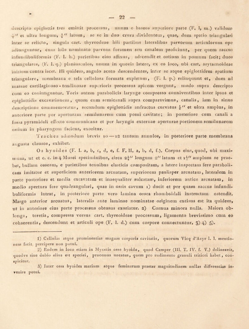 tlescripto epiglottis tres emittit processus, unum e baseos superiore parte (F^ ], m.) validum et ultra loiiguiij, latum, se se in cluo crura dividentem, cpiae, dum spatio triangulari inter se relicto, singula cart. thyreodeae hili partibus lateralibus parvorum articulorum ope acliuiiguntur, cum hilo nominato parvum foramen seu canalem proficiunt, per quem saccus infuiidibuliformis (F. I. h.) parietibus eius affixus, adscenditet ostium in pomum facit; duos triangulares, (F. 1. q.) planiusculos, unum in quovis latere, ex eo loco, ubi cart^ arytaenoideae jnitiuiri contra iacet. Mi quidem, angulo acuto descendentes, inter se atque epiglottidem spatium triangulare, membrana e tela cellulosa formata expletum, (F. I. p.) relinquunt et, dum ad massae cartilaginoso - tendinosae superioris processus apicem vergunt, modo supra descripto cum eo coniunguntur* Toris autem parabolicis larynge compresso conniventibus inter ipsos et epiglottidis excavationem, quam cum semicanali supra comparavimus, canalis, iam in sinus descriptione commemoratus, secundum epiglottidis anfractus curvatus et ultra amplus, in anteriore parte per aperturam semilunarem cum pomi cavitate; in posteriore cum canali a fossa pyramidali effecto communicans et per laryngis externae aperturae portionem semilunarem ostium in pharyngem faciens, exoritur. Trachea admodum brevis lo —12 tantum annulos, in posteriore parte membrana aiigusta clausos, exhibet. Os hyoides (F. I. a, b, c, d, e, f. F* II* a, b, d, f.)* Corpus eius, quod, ubi maxi- irmm, ut et e. c. in4M^sei speciminibus, circa longum 2,'Matum et amplum se prae- bet, bullam osseam, e parietibus tenuibus elasticis compositam, a latere inspectam fere paraboli- cam imitatur et superficiem anteriorem arcuatam, superiorem paulisper arcuatam, lateralem in parte posteriore et media excavatam et inaequaliter sulcatam, inferiorem antice arcuatam, in medio apertura fere quadrangulari, quae in ossis cavum i) ducit et per quam saccus infundi- buliformis intrat, in posteriore parte vero lamina ossea rhomboidali instructam ostendit* Margo anterior arcuatus, lateralis ante laminae nominatae originem excisus est ita quidem, ut in anteriore eius parte processus obtusus exoriatur, s) Cornua minora nulla. Maiora ob- longa, teretia, compressa versus cart* thyreoideae processum, ligamento brevissimo cum eo cohaerentia, descendunt et articuli ope (F* 1. d.) cum corpore connectuntur* 3)4) 5)* 1) Cellulas atque prominentias magnas corporis cavitatis, quorum Vicq TAzyr 1. 1, mentio- nem facit, percipere non potui. 2) Eodem in loco etiam in Mycetis osse hyoide, quod Camper (IIl, T, IV. f. V.) delineavit, quodve siiie dubio alius est speciei, processus uncatus, quem pro rudimento granuli triticei liabet, con- spicitur. 3) Inter ossa hyoidea marium atque feminarum praeter magnitudinem nullas differentias in- venire potui,