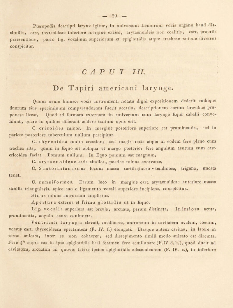 Pteropoclis descripti larynx igitur, in universum Lemurnm vocis organo haud dis- similis, cart* thyreoideae inferiore margine exciso, arytaenoideis non coalitis, cart+ propriis praesentibus, porro lig+ vocalium superiorum et epiglottidis atque tracheae ratione diversus conspicitur* CAPUT IIL De Tapiri americani larynge. Quum nemo huiusce vocis instrumenti notatu digni expositionem dederit mihique duorum eius speciminum comparandorum fuerit occasio, descriptionem eorum brevibus pro- ponere liceat* Quod ad formam externam in universum cum larynge Equi caballi conve- niunt, quare in quibus differant addere tantum opus erit* C. cricoidea minor* In margine posteriore superiore est prominentia, sed in pariete posteriore tuberculum nullum percipitur. C* thyreoidea multo crassior; sed magis recta atque in eodem fere plano cum trachea sita, quum in Equo sit obliqua et margo posterior fere angulum acutum cum cart. cricoidea faciat. Pomum nullum. In Equo pomum sat magnum* C. a r y t a e n o i de a e satis similes, postice minus excavatae* C* S antorinianarum locum massa cartilaginoso - tendinosa, trigona, uncata tenet* C. cuneiformes. Earum loco in margine cart. arytaenoideae anteriore massa similis triangularis, apice suo e ligamento vocali superiore incipiens, conspicitur* Sinus minus antrorsum ampliatus. Apertura externa et Rima glottidis ut in Equo. Lig. vocalia superiora sat brevia, arcuata, parum distincta* Inferiora acuta, prominentia, angulo acuto coniuncta. Ventriculi laryngis clavati, mediocres, antrorsum in cavitatem ovalem, coecam, versus cart. thyreoideam spectantem (F* IV. f.) elongati* Utraque autem cavitas, in latere in terno sulcata, inter se non cohaeret, sed dissepimento simili modo sulcato est diremta* Fere supra eas in ipsa epiglottidis basi foramen fere semilunare (F*IV. d*k*), quod ducit ad cavitatem, arcuatim in quovis latere ipsius epiglottidis adscendentem (F. IV. c.), in inferiore