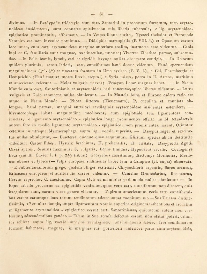 diximus. — In Bradypode tridaclylo cum cart. Santorini in processum furcatum, cart. arytae- noideae insidentem, sunt connatae apicibusque suis liberis tubercula, e ligt arytaenoideo- epiglottico prominentia, efformant* — In Vespertilione aurito, Nycteri tliebaica et Pteropode Vampiro eas non invenire potuimus. — Didelpliis marsupialis (F. VIII. d.) et Op ossum earurn loco unco, cum cart» arytaenoideae margine anteriore coalito, instructae esse videntur. — Cania lupi et C» familiaris sunt magnae, teretiusculae, uncatae; Viverrae Zibethae parvae, subrotun- dae.— In Felis leonis, lyncis, cati et tigridis larynge nullas observare contigit» —In Ursorum quidem plurimis, sensu latiori, cart» cuneiformes haud deesse videntur. Haud spernendam magnitudinem •-1“') et uncatam formam in Urso syriaco (F. V. f.), a Cei» Ehrenbergio et Hemprichio (Heu! matura morte literis erepto!) e Syria misso, porro in U. Arctos, maritimo et americano referunt — Meles vulgaris parvas; Procyon Loior magnas habet. — In Nasua Monde cum cart» Santorinianis et arytaenoideis basi concretae, apice liberae videntur. —Lutra vulgaris et Gulo canescens nullas obtulerunt» — In Mustela foina et Furone eadem ratio est atque in Nasua Monde — Phoca littorea (Tienemann), P» cucullata et annulata ob- longas, haud parvas, margini anteriori cartilaginis arytaenoideae insidentes ostendere» — Myrmecophaga iubata magnitudine mediocres, cum epiglottide tela ligamentosa con- iunctas, e ligamento arytaenoideo - epiglottico longe prominentes olfert; in M. tetradactyla autem fere in medio ligamento arytaenoideo - epiglottico, non prominentes, iacent» Oriuntur ceterum in utraque Myrmecophaga supra lig» vocale superius» ■— Dasypus niger et sexcinc- tus nullas obtulerunt» — Praeterea quoque quae sequuntur, Glirium species ab iis destitutae videntur: Castor Fiber, Hystrix brachiura, H» prehensilis, H. cristata, Dasyprocta Aguti, Cavia aperea, Sciurus maximus, S» vulgaris, Lepus timidus, Hypudaeus arvalis, Coelogenys Paca (cui 111. Cuvier 1» 1. p. 359 tribuit) Georychus maritimus, Arctomys Mormotta, Merio- nes obesus et lybicus — Talpa europaea rudimenta habet iam a Campero (cf. supra) observata. — E Subterraneanorum grege, qualem Illiger exstruxit, Chrysochloris capensis. Sorex araneus, Erinaceus europaeus et auritus iis carere videntur. — Camelus Dromedarius, Bos taurus, Cervus capreolus, C. mexicanus. Capra Ovis et mambrica pari modo nullas obtulerunt — In Equo cabello processus ex epiglottide venientes, quos vero cart» cuneiformes non dicerem, quia irregulares sunt, earum vices gerere videntur» — Tapirum americanum veris cart. cuneiformi- bus carere earumque loco torum tendinosum adesse supra monitum est.—Sus Taiassu distinc- tissimis, 1 et ultra longis, supra ligamentum vocale superius originem trahentibus et arcuatim in ligamento arytaenoideo - epiglottico versus cart. Santorinianas, quibuscum autem non coa- lescunt, adscendentibus gaudet.— Etiam m Sue scrofa defectus earum non statui potest; oriun- tur scilicet supra lig» vocale superius cartilagines, una in quovis latere, fere semilunarem formam habentes, inagnae, in marginis sui posterioris inferiore parte cum arytaenoideis,