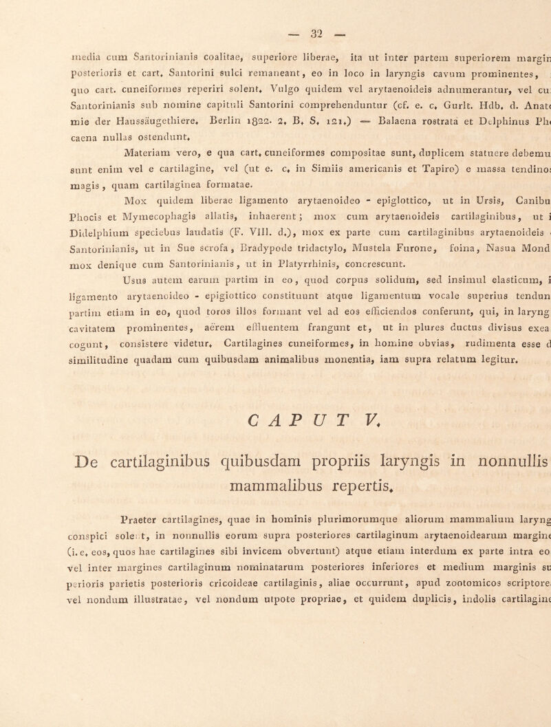 inedia cum Santoriniariis coalitae, superiore liberae, ita ut inter partem superiorem margir posterioris et cart^ Santorini sulci remaneant, eo in loco in laryngis cavum prominentes, quo cart. cuneiformes reperiri solent* Vulgo quidem vel arytaenoideis adnumerantur, vel cu Saiitorinianis sub nomine capituli Santorini comprehenduntur (cf. e. c* Gurlt. Hdb* d. Anat< mie der Haussaugethiere* Berlin 1822. 2* B* S* i2i*) — Balaena rostrata et Delphinus PIk caena nullas ostendunt* Materiam vero, e qua cart* cuneiformes compositae sunt, duplicem statuere debemu sunt enim vel e cartilagine, vel (ut e. c* in Simiis americanis et Tapiro) e massa tendino; magis , quam cartilaginea formatae. M ox quidem liberae ligamento arytaenoideo - epiglottico, ut in Ursis, Canibu Phocis et Mymecophagis allatis, inhaerent; mox cum arytaenoideis cartilaginibus, ut i Didelphium speciebas laudatis (F. Vili, d*), mox ex parte cum cartilaginibus arytaenoideis Santorinianis, ut in Sue scrofa, Bradypode tridactylo. Mustela Furone, foina, Nasua Mond mox denique cum Santorinianis , ut in Platyrrhinis, concrescunt. Usus autem earum partim in eo, quod corpus solidum, sed insimul elasticum, i ligamento arytaenoideo - epigiottico constituunt atque ligamentum vocale superius tendun partim etiam in eo, quod toros illos formant vel ad eos efficiendos conferunt, qui, in laryng cavitatem prominentes, aerem eilluentem frangunt et, ut in plures ductus divisus exea cogunt, consistere videtur* Cartilagines cuneiformes, in homine obvias, rudimenta esse cl similitudine quadam cum quibusdam animalibus monentia, iam supra relatum legitur. CAPUT U De cartilaginibus quibusdam propriis laryngis in nonnullis mammalibus repertis. Praeter cartilagines, quae in hominis plurimorumque aliorum mammalium laryng conspici soleot, in nonnullis eorum supra posteriores cartilaginum arytaenoidearum margint (i. e* eos, quos hae cartilagines sibi invicem obvertunt) atque etiam interdum ex parte intra eo vel inter margines cartilaginum nominatarum posteriores inferiores et medium marginis st perioris parietis posterioris cricoideae cartilaginis, aliae occurrunt, apud zootomicos scriptore vei nondum illustratae, vel nondum utpote propriae, et quidem duplicis, indolis cartilagiiK