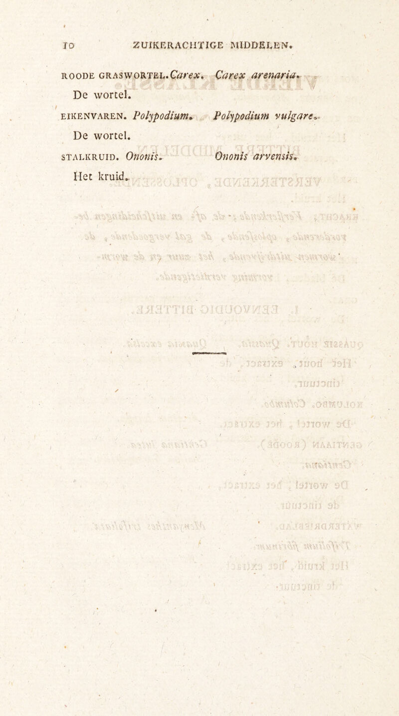 roode gras wortel. Carex, Carex arenaria, De wortel. eikenvaren. Polypodium» Polypodiwn v uigare*. De wortel. stalkruid. OnoniL On o nis arvemko Het kruid*. 'ÜrnV 9-ï >/.':■ feu X now 9Ü- * ■ ■ I^JÏOW SÖ . i \ y i