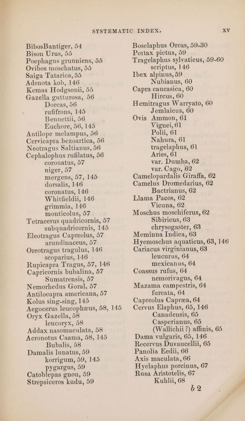 Bison Urus, 55 Poephagus grunniens, 55 Ovibos moschatus, 55 Saiga Tatarica, 55 Adenota kob, 146 Kemas Hodgsonii, 55 Gazella gutturosa, 56 Dorcas, 56 rufifrons, 145 Bennettii, 56 Euchore, 56, 145 Antilope melampus, 56 Cervicapra bezoartica, 56 Neotragus Saltianus, 56 Cephalophus rufilatus, 56 coronatus, 57 niger, 57 mergens, 57, 145 dorsalis, 146 coronatus, 146 Whitfieldii, 146 grimmia, 146 monticolus, 57 Tetracerus quadricornis, 57 subquadricornis, 145 Eleotragus Capreolus, 57 arundinaceus, 57 Oreotragus tragulus, 146 scoparius, 146 Rupicapra Tragus, 57, 146 Capricornis bubalina, 57 Sumatrensis, 57 Nemorhedus Goral, 57 Antilocapra americana, 57 Kolus sing-sing, 145 Aegocerus leucopheus, 58, 145 Oryx Gazella, 58 leucoryx, 58 Addax nasomaculata, 58 Acronotus Caama, 58, 145 Bubalis, 58 Damalis lunatus, 59 korrigum, 59, 145 pygargus, 59 Catoblepas gnou, 59 Strepsiceros kudu, 59 INDEX. XV Portax pictus, 59 Tragelaphus sylvaticus, 59-60 scriptus, 146 Ibex alpinus, 59 Nubianus, 60 Capra caucasica, 60 Hircus, 60 Hemitragus Warryato, 60 Jemlaicus, 60 Ovis Ammon, 61 Vignei, 61 Polii, 61 Nahura, 61 tragelaphus, 61 Aries, 61 var. Dumba, 62 var. Cago, 62 Camelopardalis Giraffa, 62 Camelus Dromedarius, 62 Bactrianus, 62 Llama Pacos, 62 Vicuna, 62 Moschus moschiferus, 62 Sibiricus, 63 chrysogaster, 63 Meminna Indica, 63 Hyemoschus aquaticus, 63, 146 Cariacus virginianus, 63 leucurus, 64 mexicanus, 64 Coassus rufus, 64 nemorivagus, 64 Mazama campestris, 64 furcata, 64 Capreolus Caprea, 64 Cervus Elaphus, 65, 146 Canadensis, 65 Casperianus, 65 (Wallichii ?) affinis, 65 Dama vulgaris, 65, 146 Recervus Duvaucellii, 65 Panolia Eedii, 66 Axis maculata, 66 Hyelaphus porcinus, 67 Rusa Aristotelis, 67 Kuhlii, 68 52